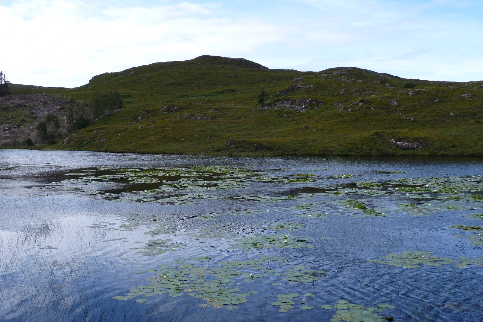 Photo Royaume-Uni Écosse Gairloch 2011-07 39