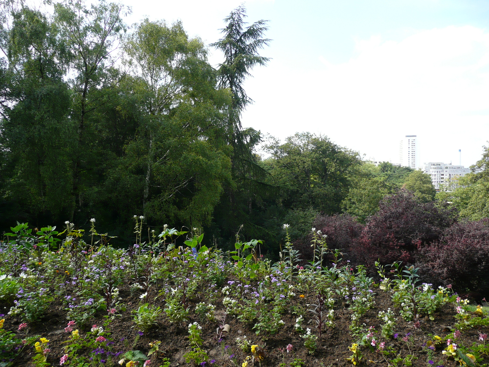 Photo France Paris Parc des Buttes-Chaumont 2007-08 234