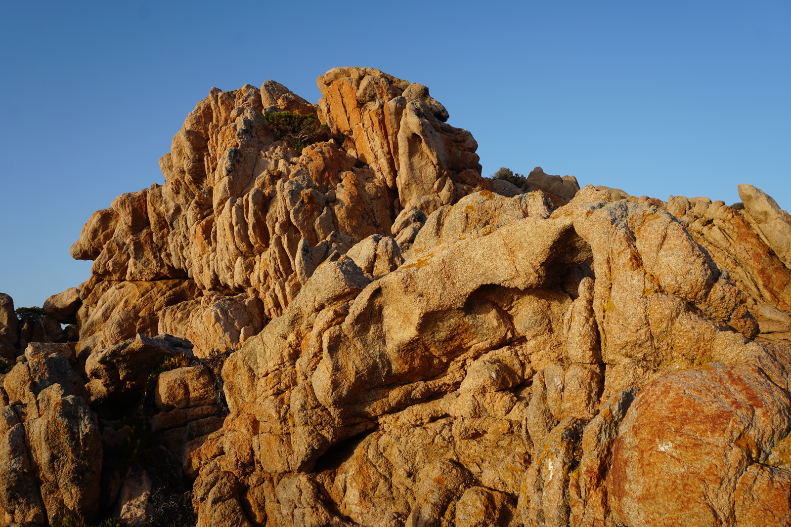 Photo France Corse Plage de la Tonnara 2017-07 7