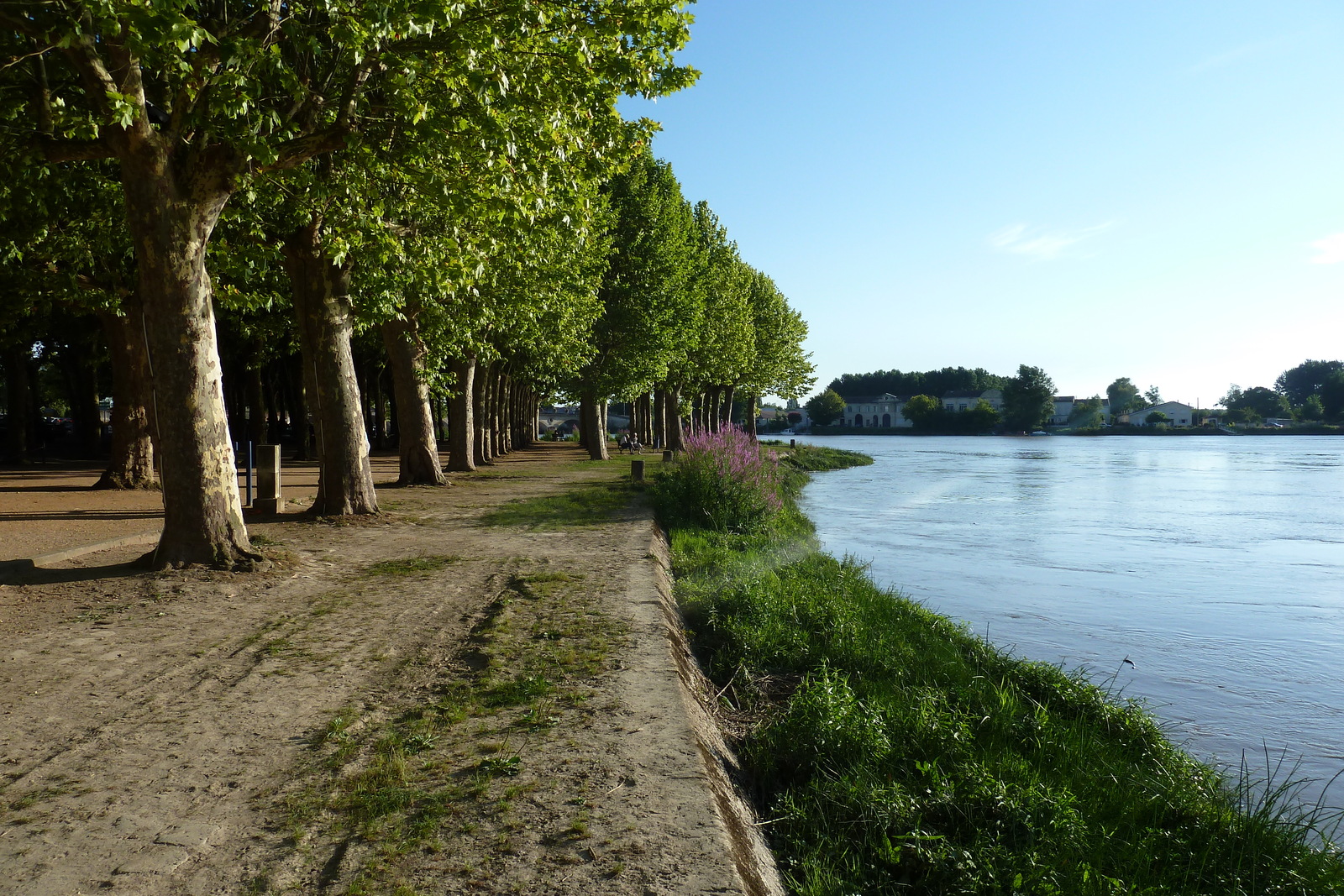 Photo France Libourne 2010-08 1