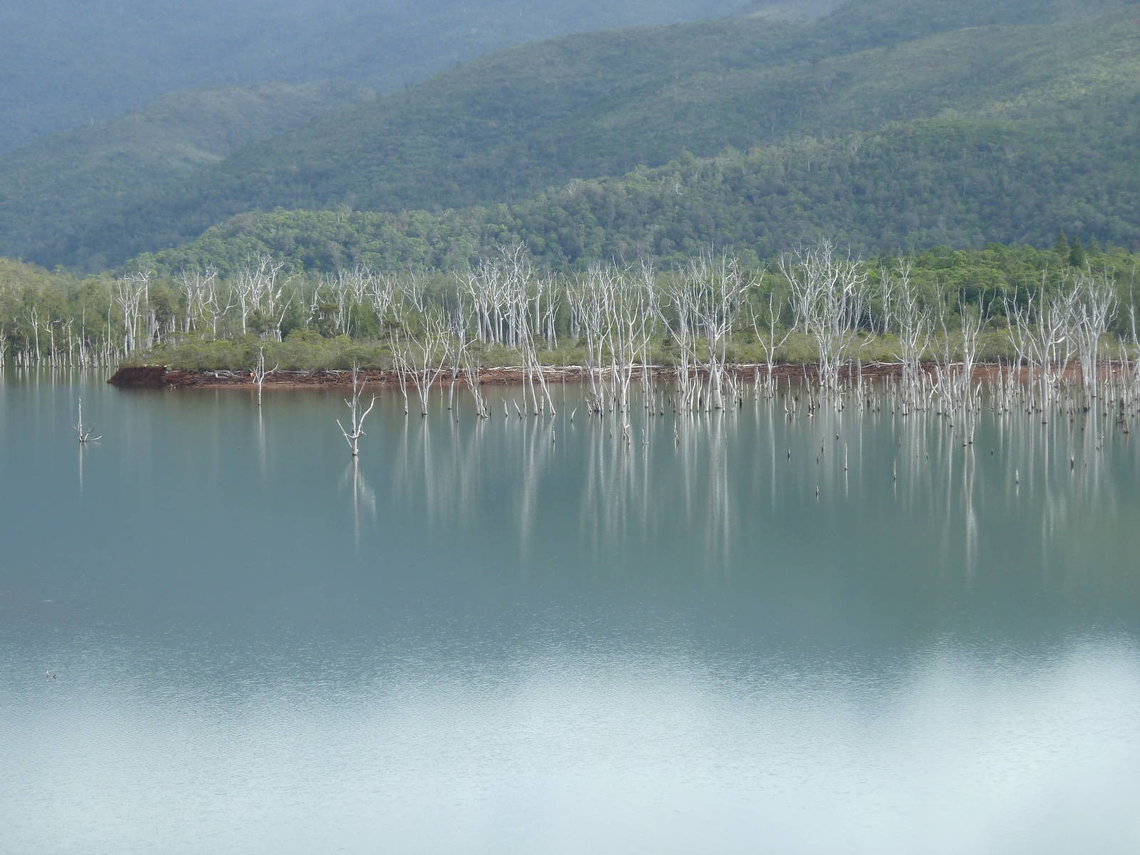 Photo Nouvelle-Calédonie Parc de la Rivière Bleue 2010-05 42