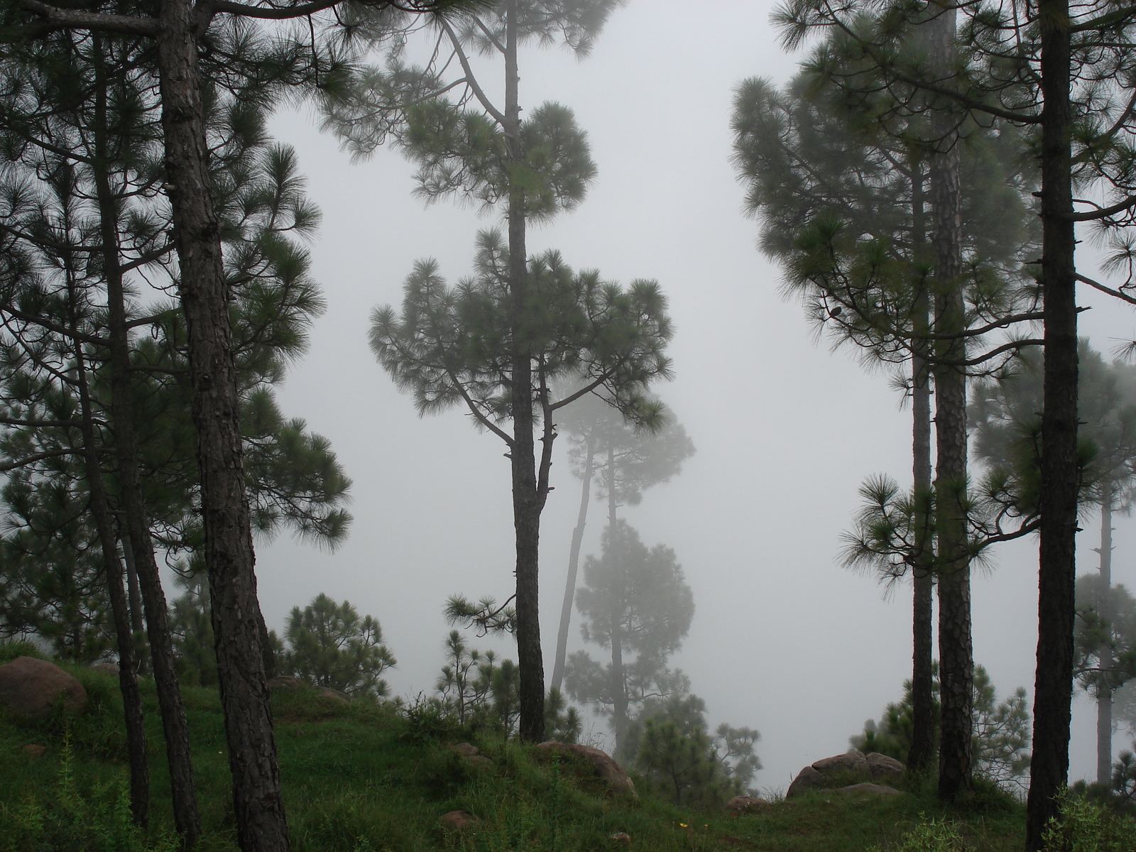 Photo Pakistan Murree 2006-08 5