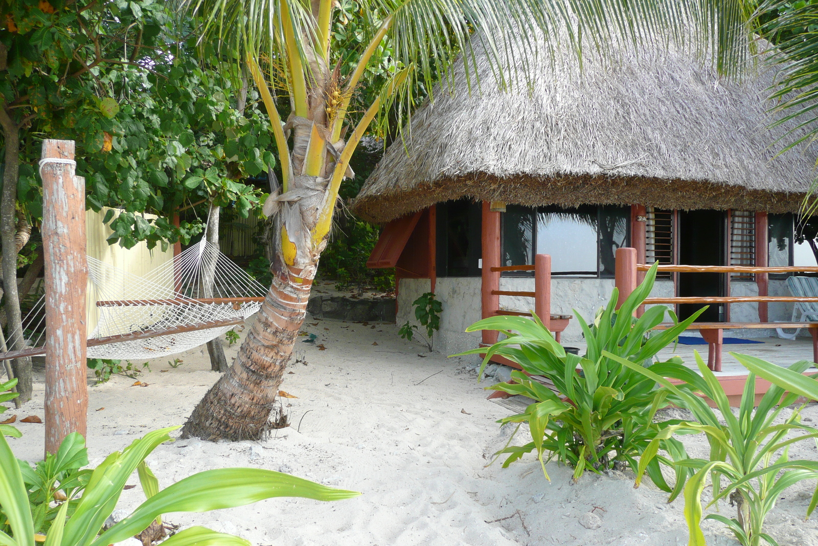 Photo Îles Fidji île Beachcomber 2010-05 69