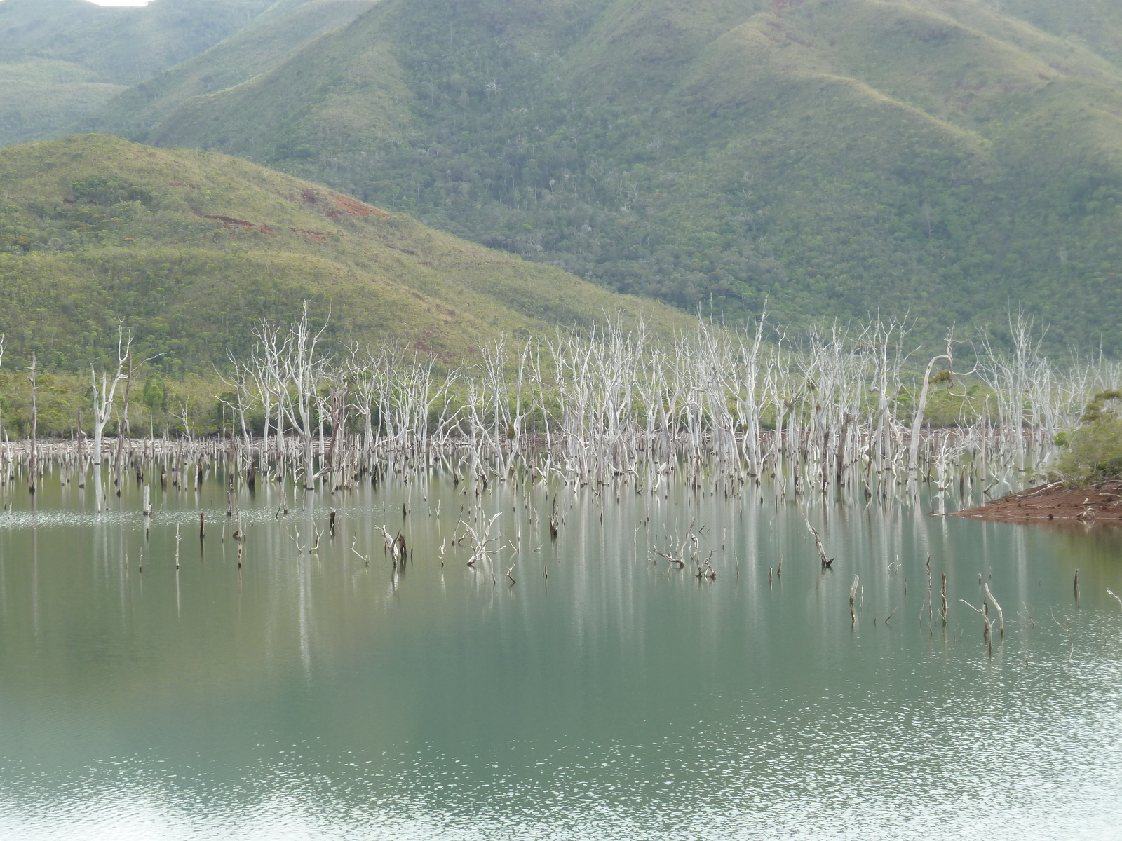 Photo Nouvelle-Calédonie Parc de la Rivière Bleue 2010-05 74