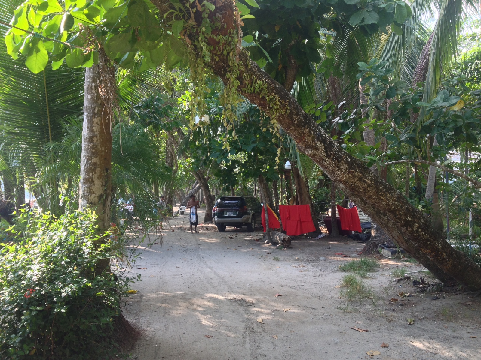 Photo Costa Rica Parc Manuel Antonio 2015-03 206