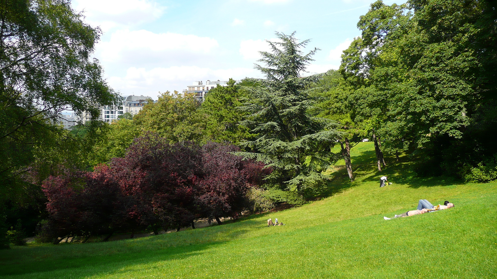Photo France Paris Parc des Buttes-Chaumont 2007-08 50