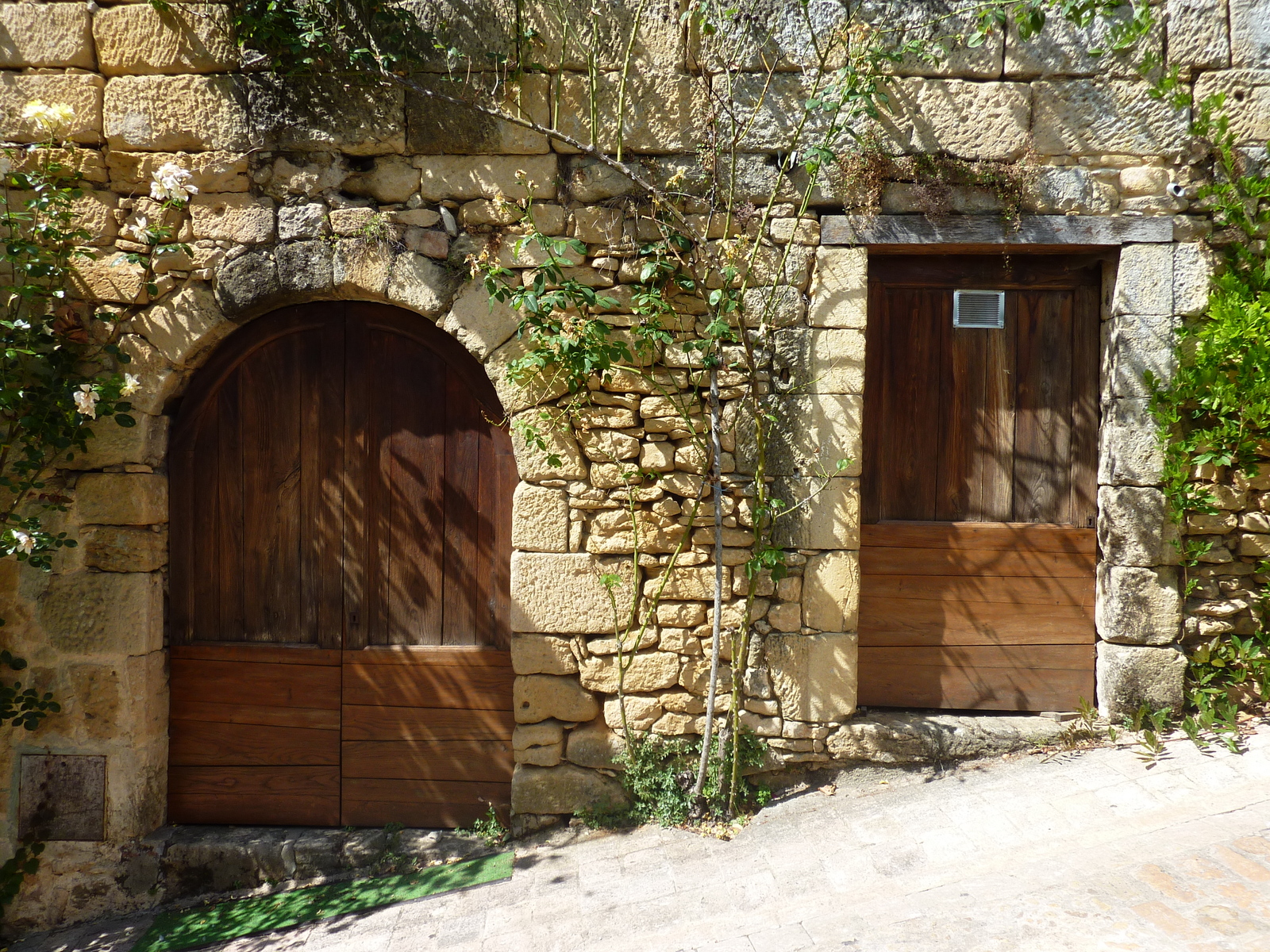 Photo France Sarlat la Canéda 2009-07 72