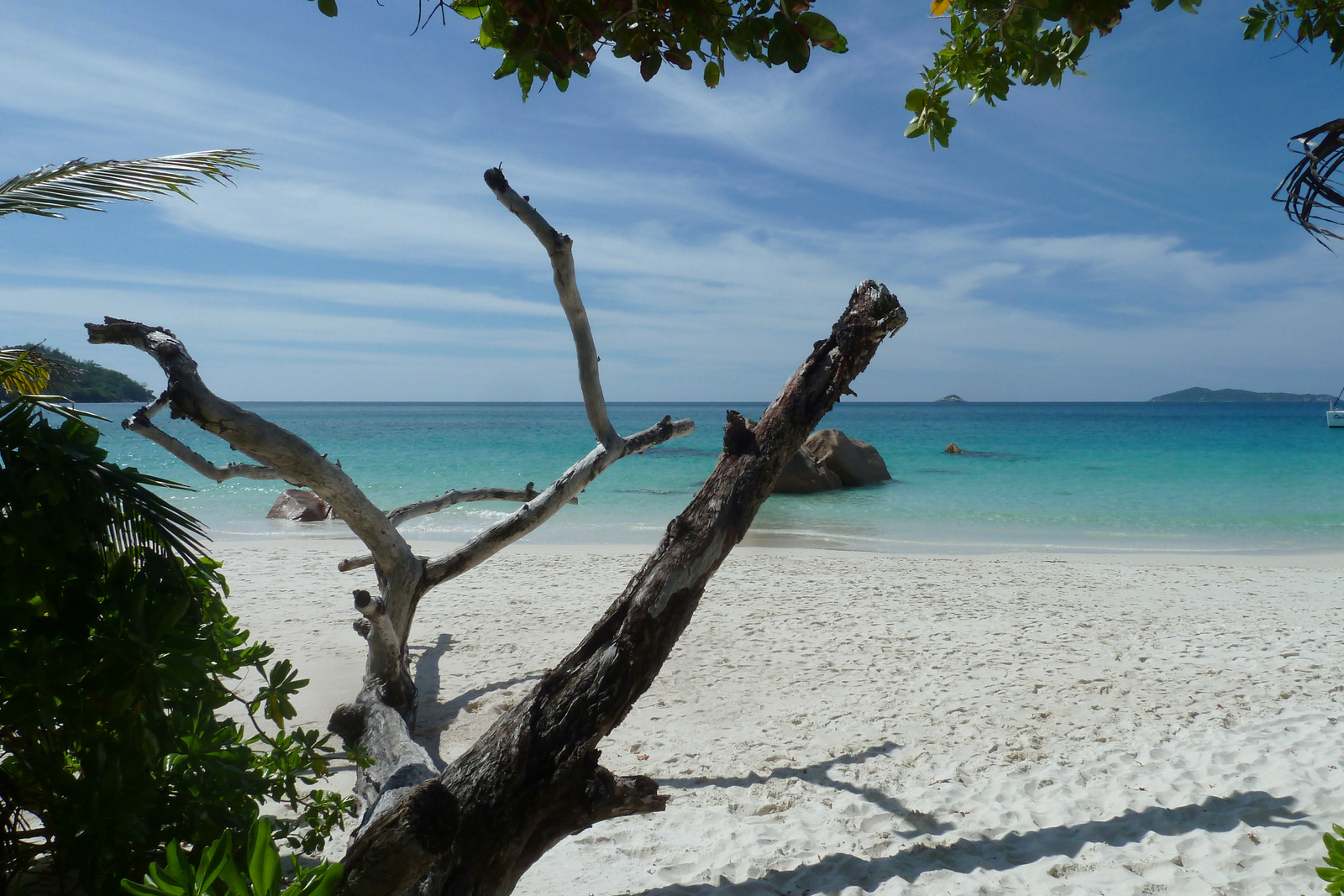 Photo Seychelles Anse Lazio 2011-10 164