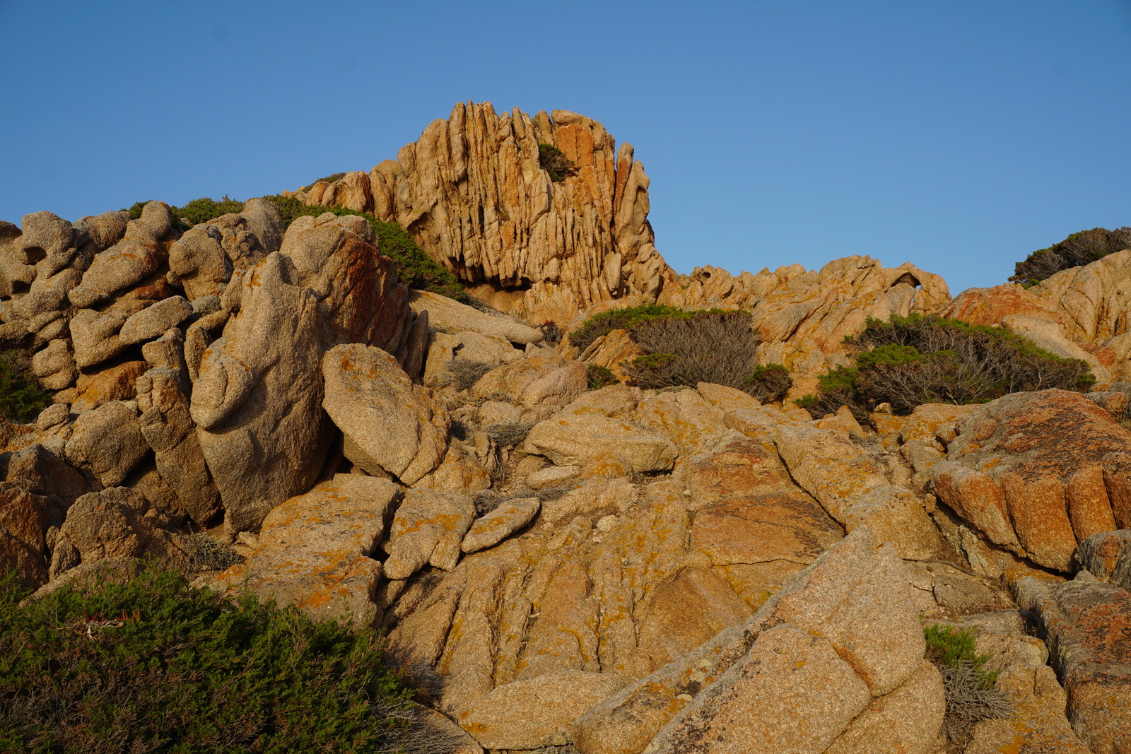 Photo France Corse Plage de la Tonnara 2017-07 14