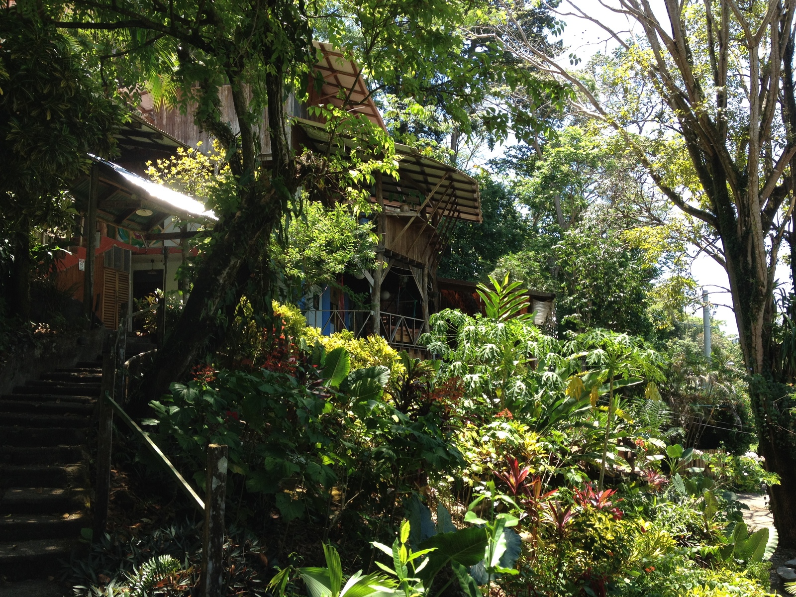 Photo Costa Rica Parc Manuel Antonio 2015-03 149