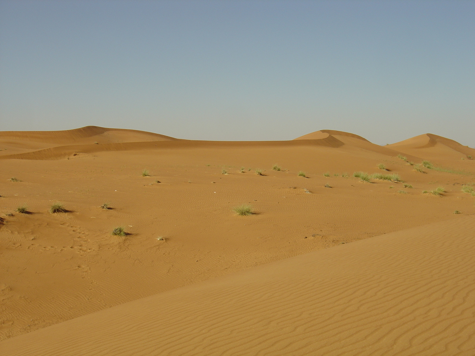 Photo Émirats arabes unis Route de Dubai à Al Ain 2005-03 76