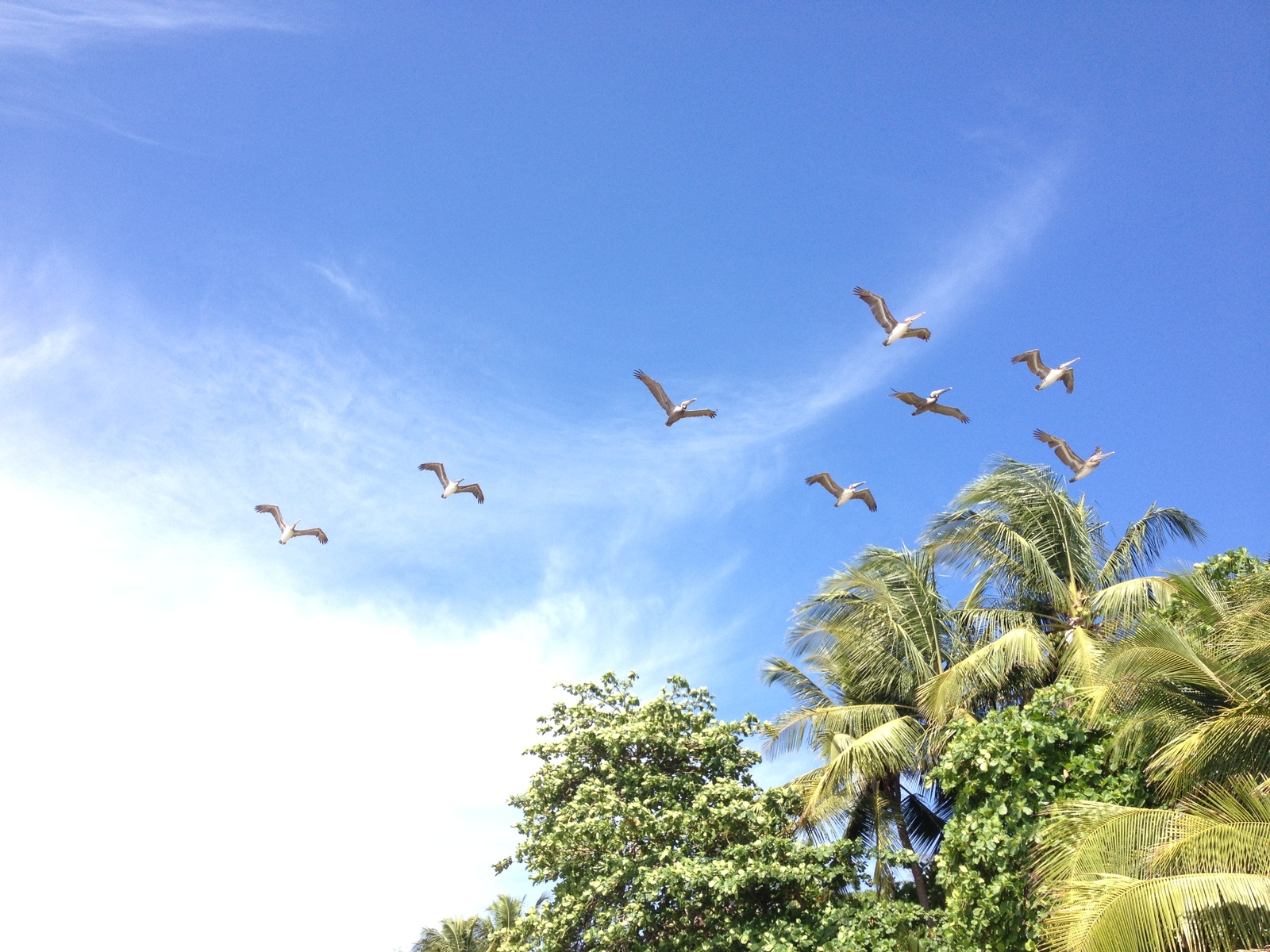 Photo Costa Rica Montezuma 2015-03 503