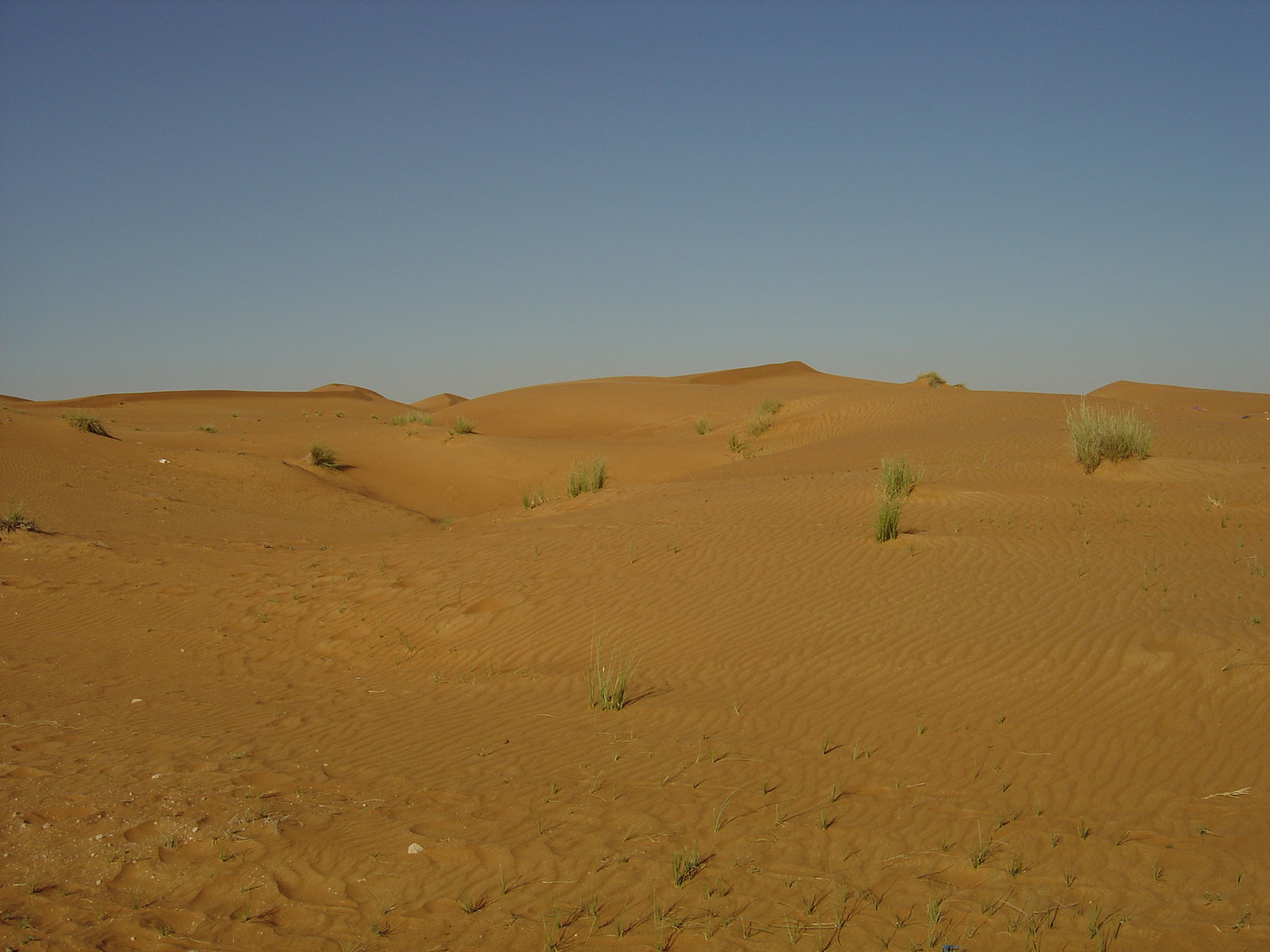Photo Émirats arabes unis Route de Dubai à Al Ain 2005-03 11