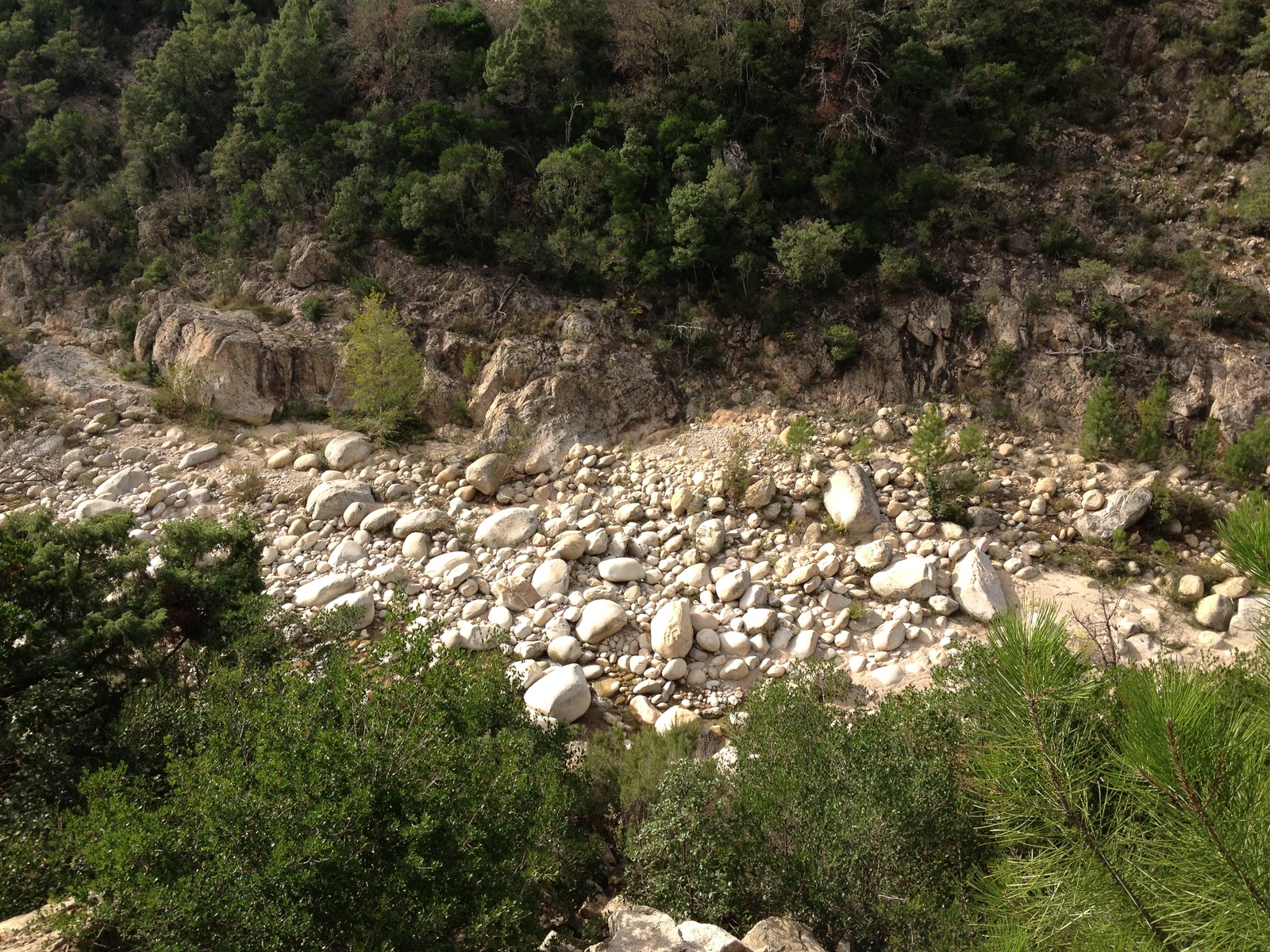Photo France Corse Solenzara 2012-09 16