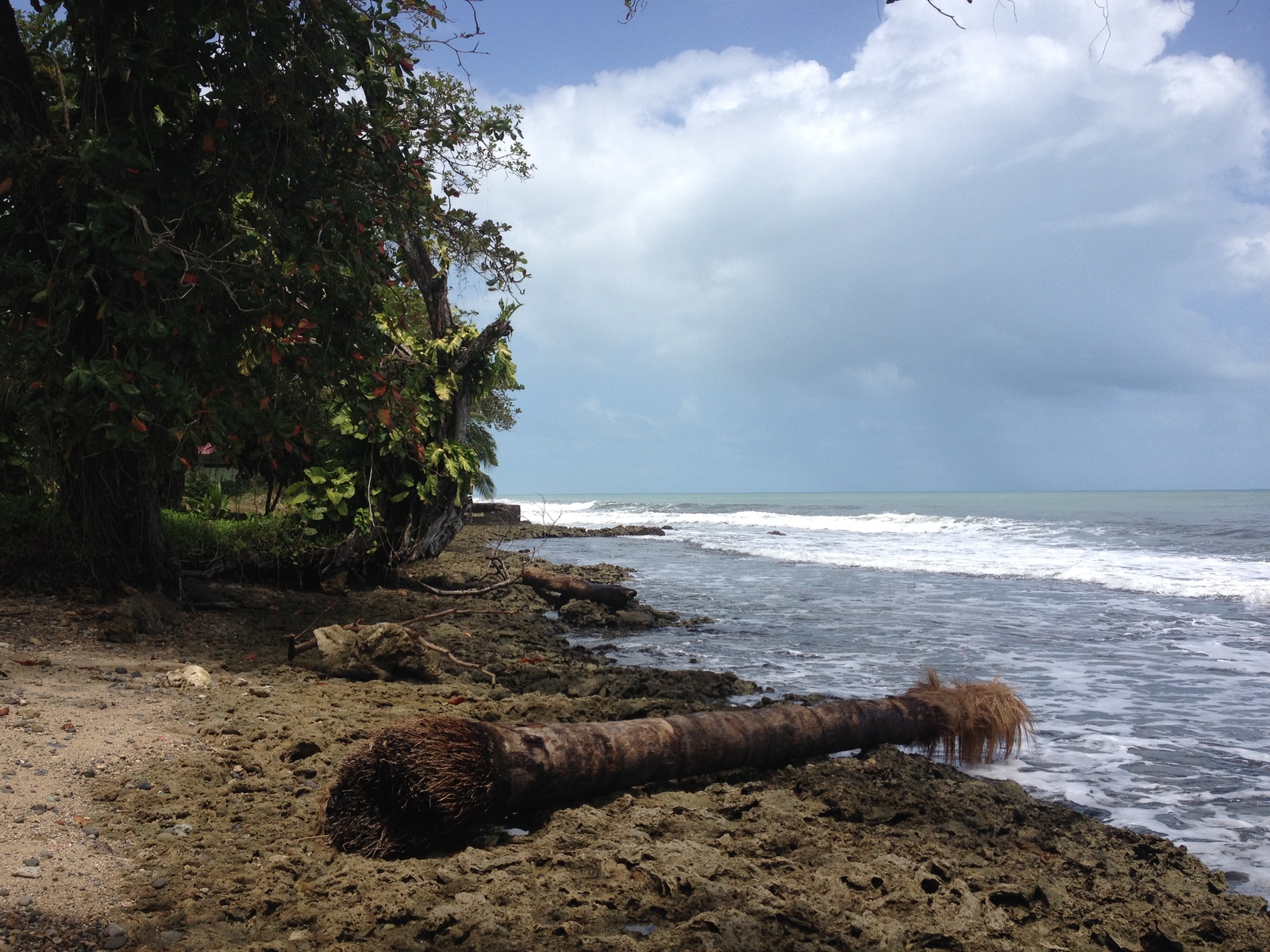 Photo Costa Rica Cahuita 2015-03 132