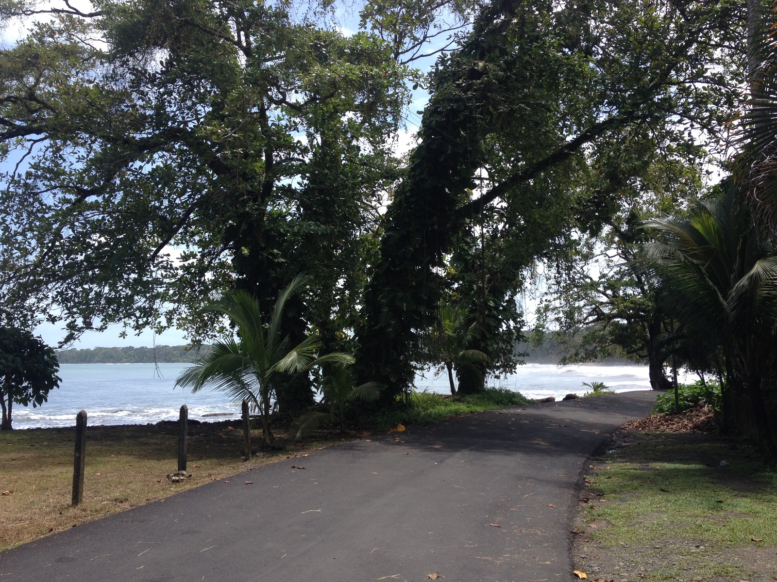 Photo Costa Rica Cahuita 2015-03 158