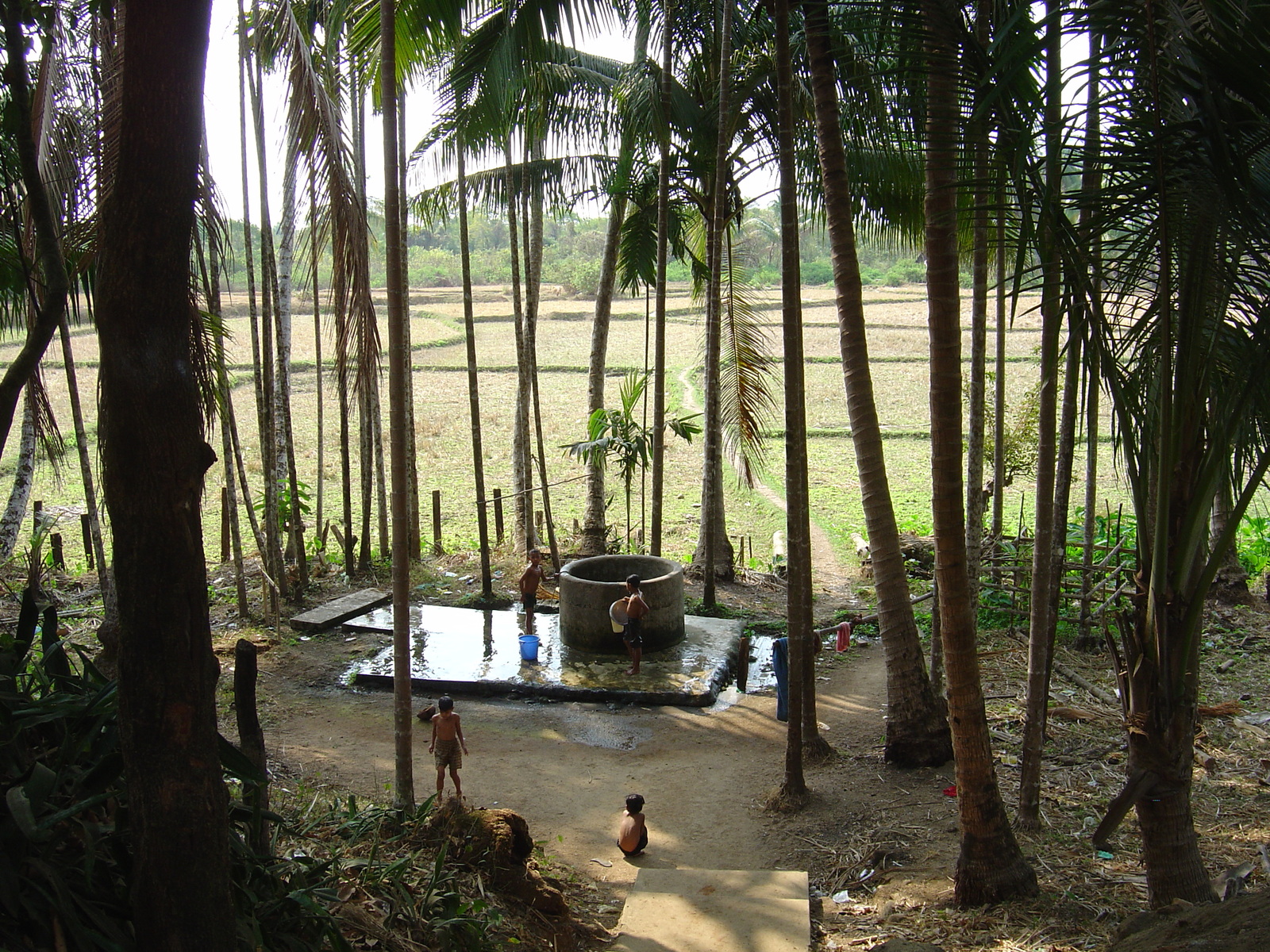 Photo Birmanie (Myanmar) Nord de Maungmagan 2005-01 48