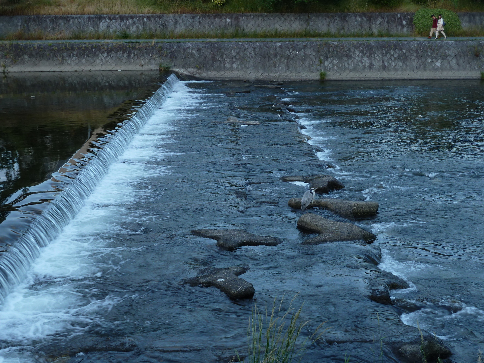 Photo Japon Kyoto Rivière Kamo 2010-06 11