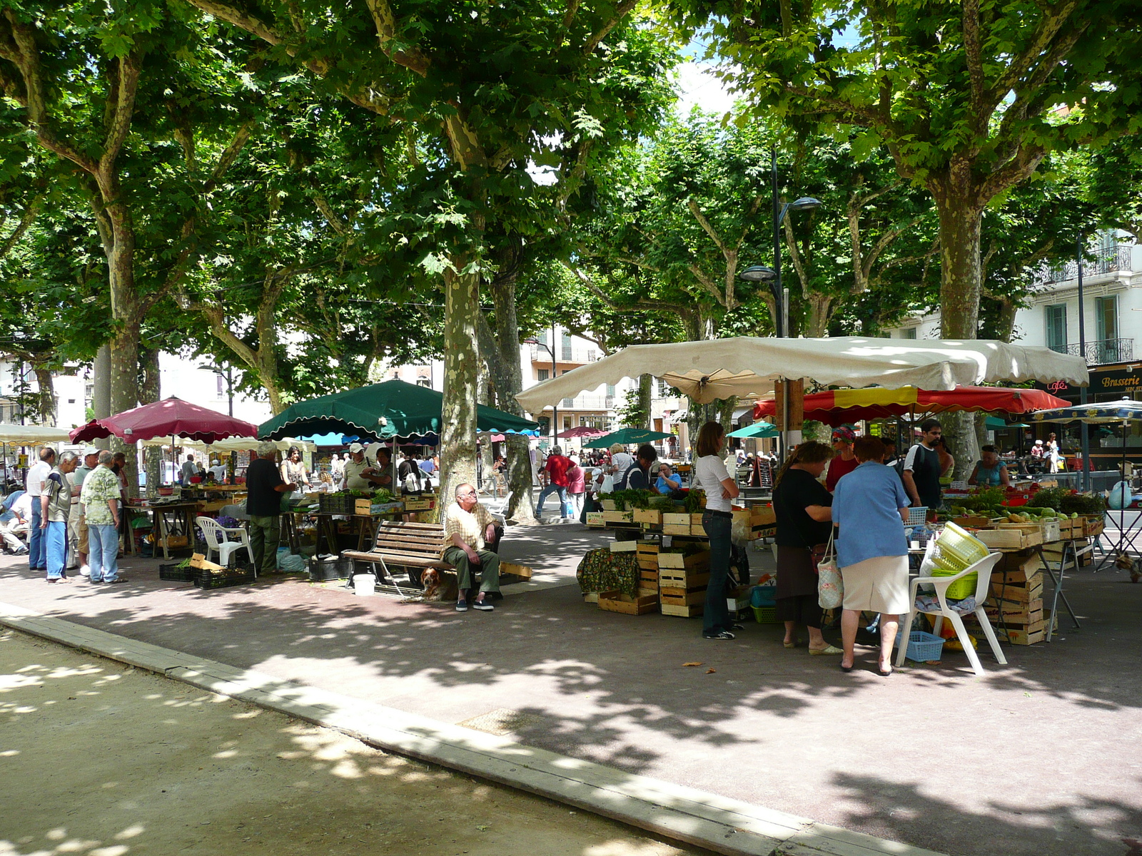 Photo France Vence Place du Grand Jardin 2007-07 27