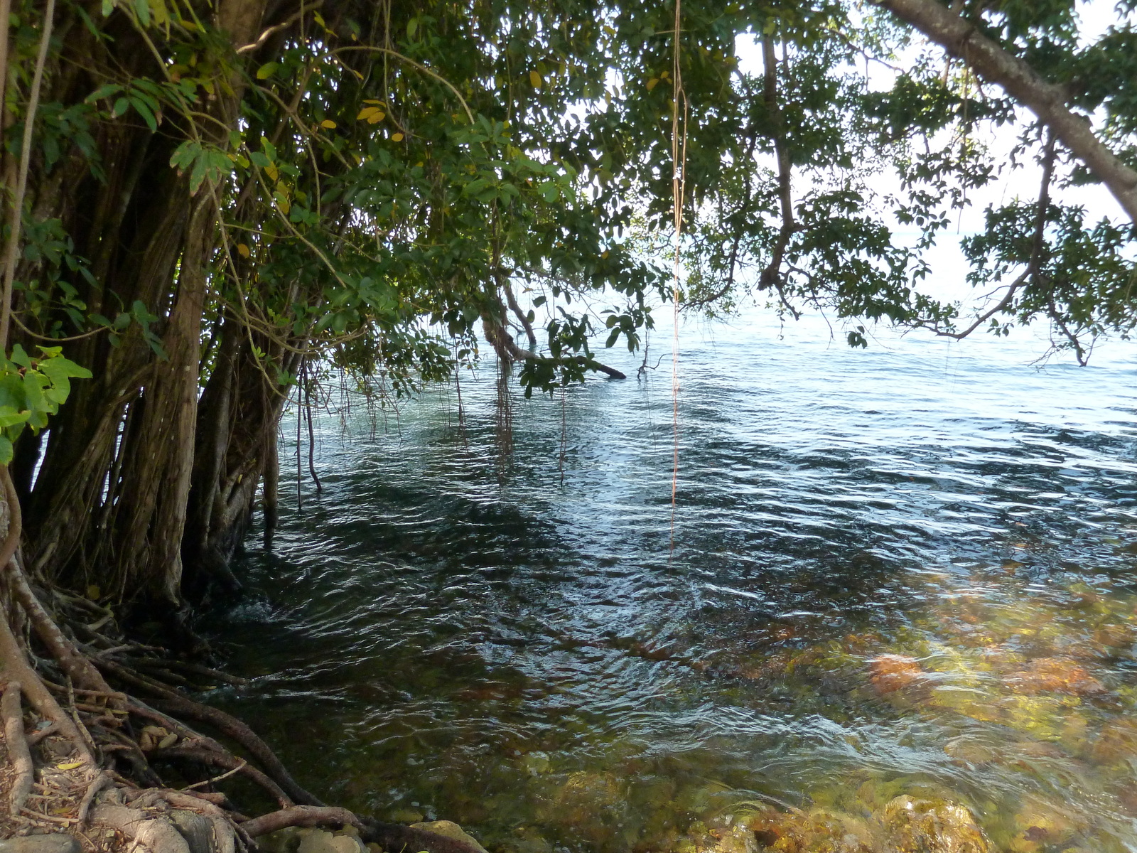Photo Thaïlande Ko Chang 2011-12 15