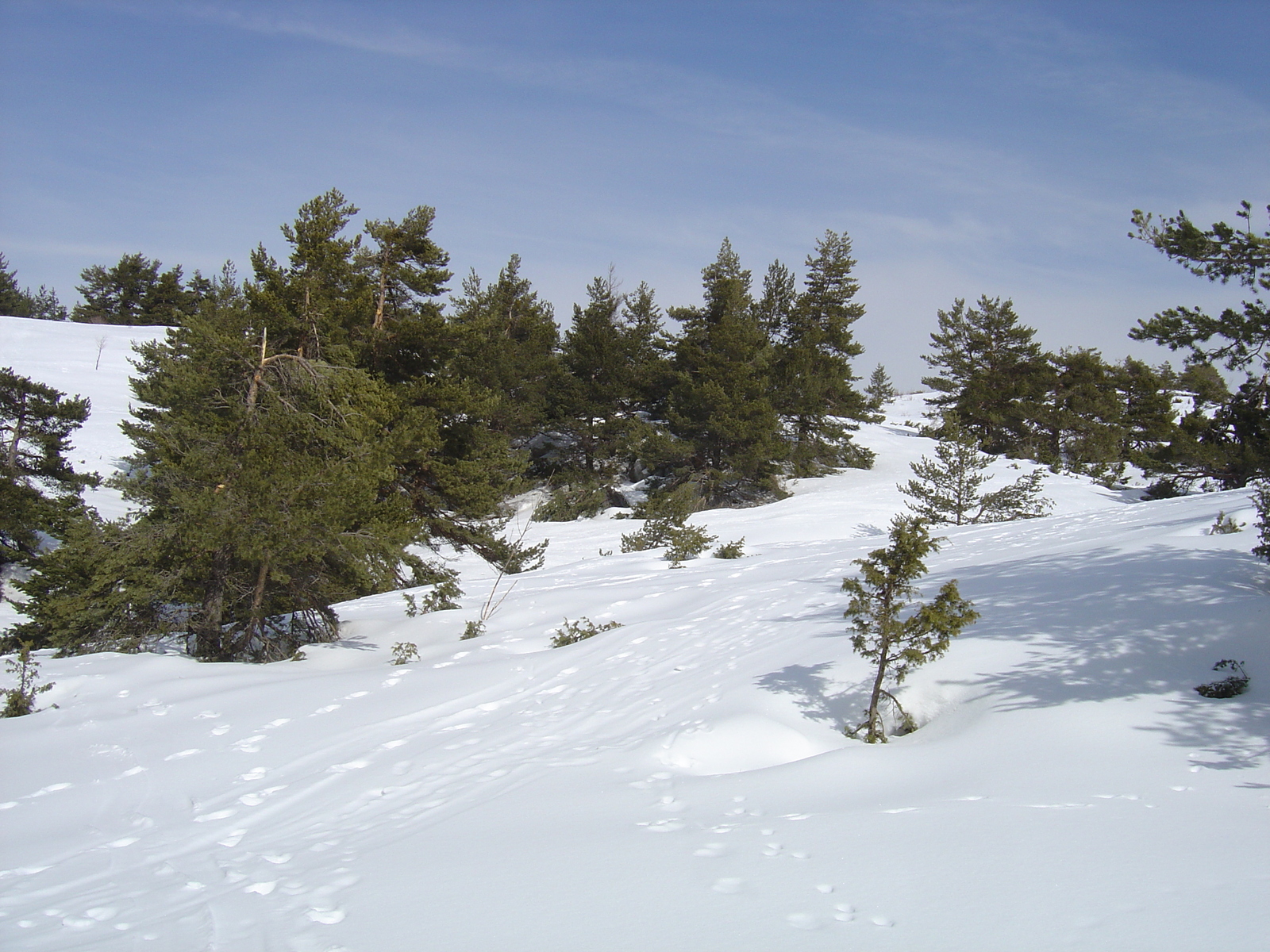 Photo France Gréolières 2006-02 21
