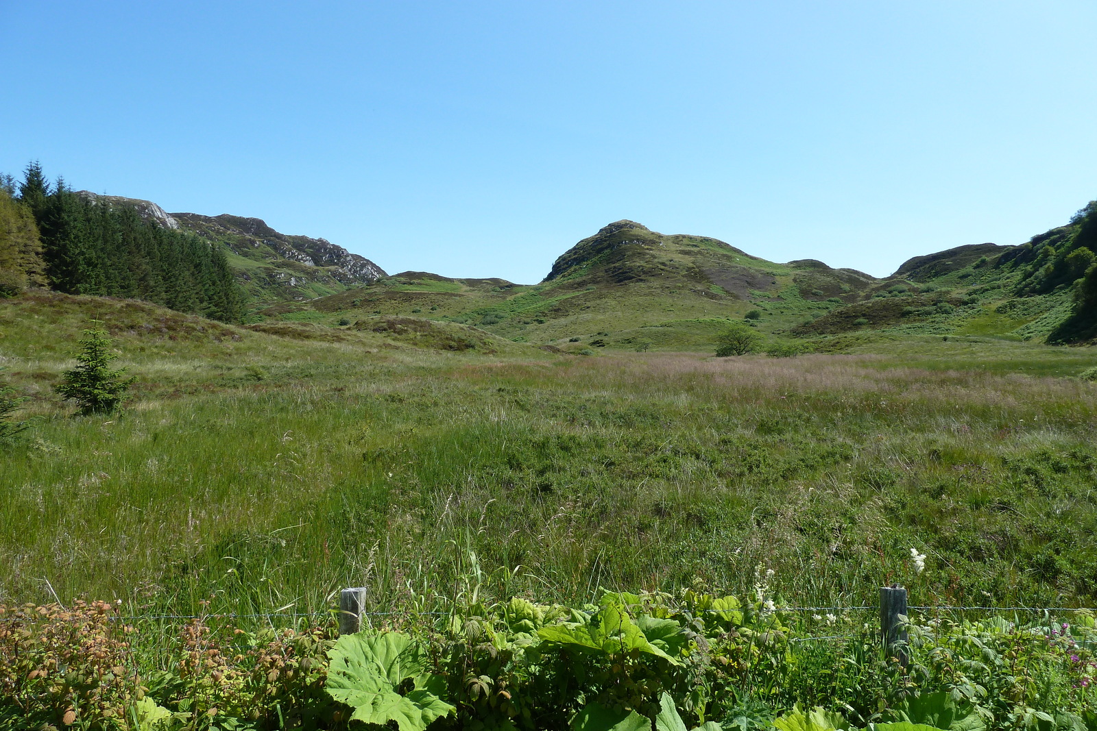 Photo Royaume-Uni Écosse Loch Linnhe 2011-07 11