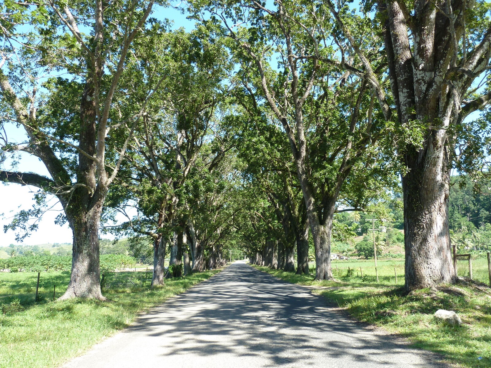 Photo Îles Fidji Rivière Sigatoka 2010-05 50