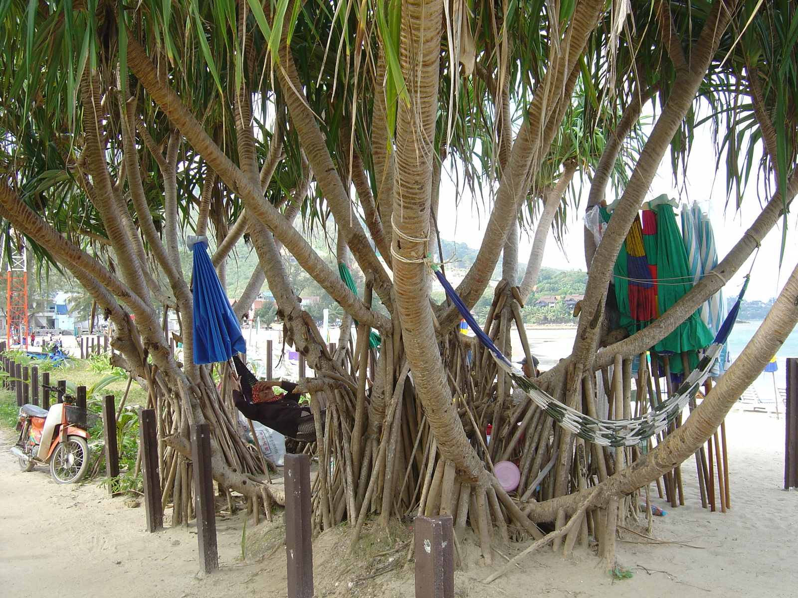Photo Thaïlande Phuket Plage de Kamala 2005-12 65