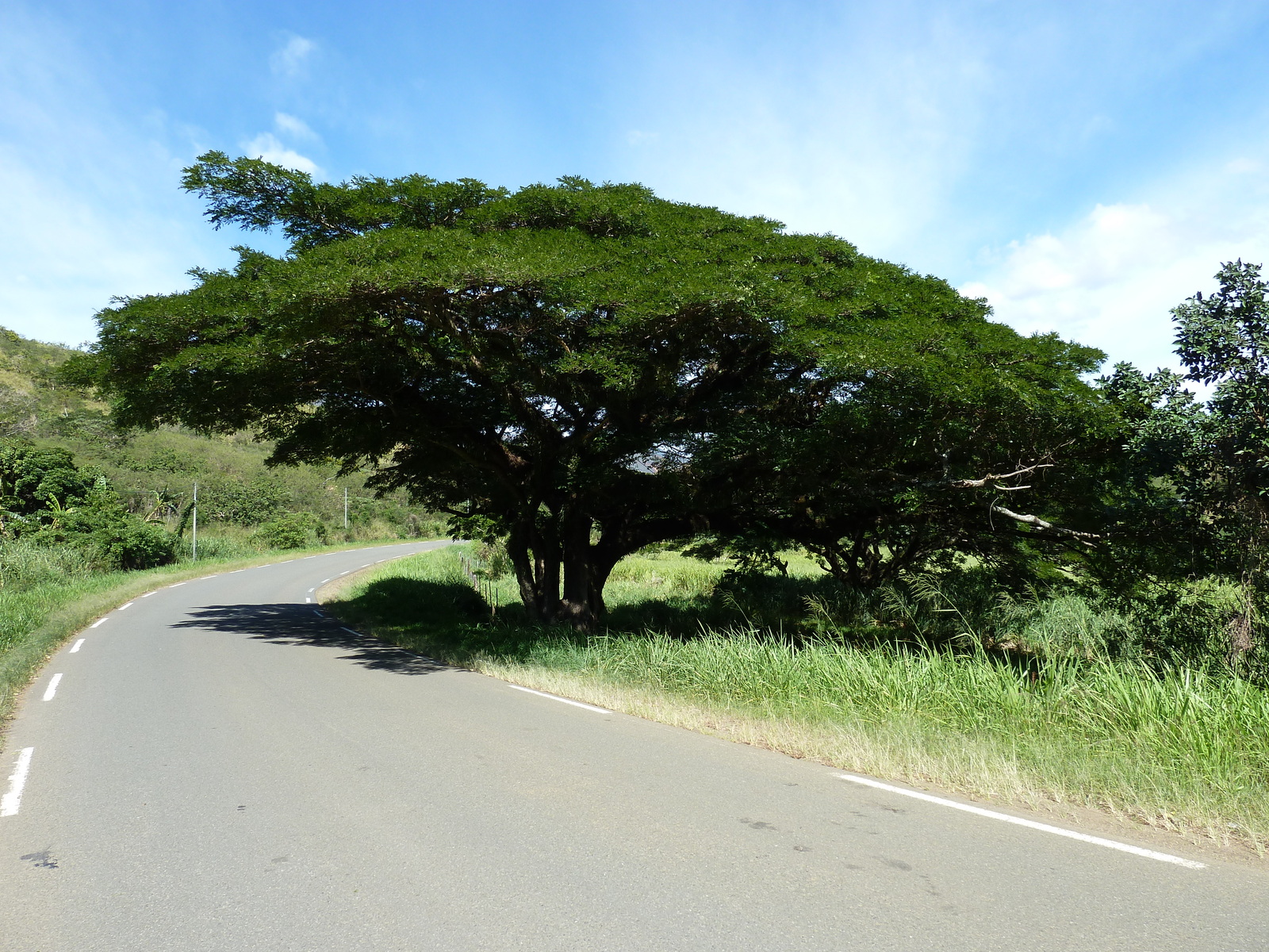 Photo Nouvelle-Calédonie route de Tontouta à Thio 2010-05 25