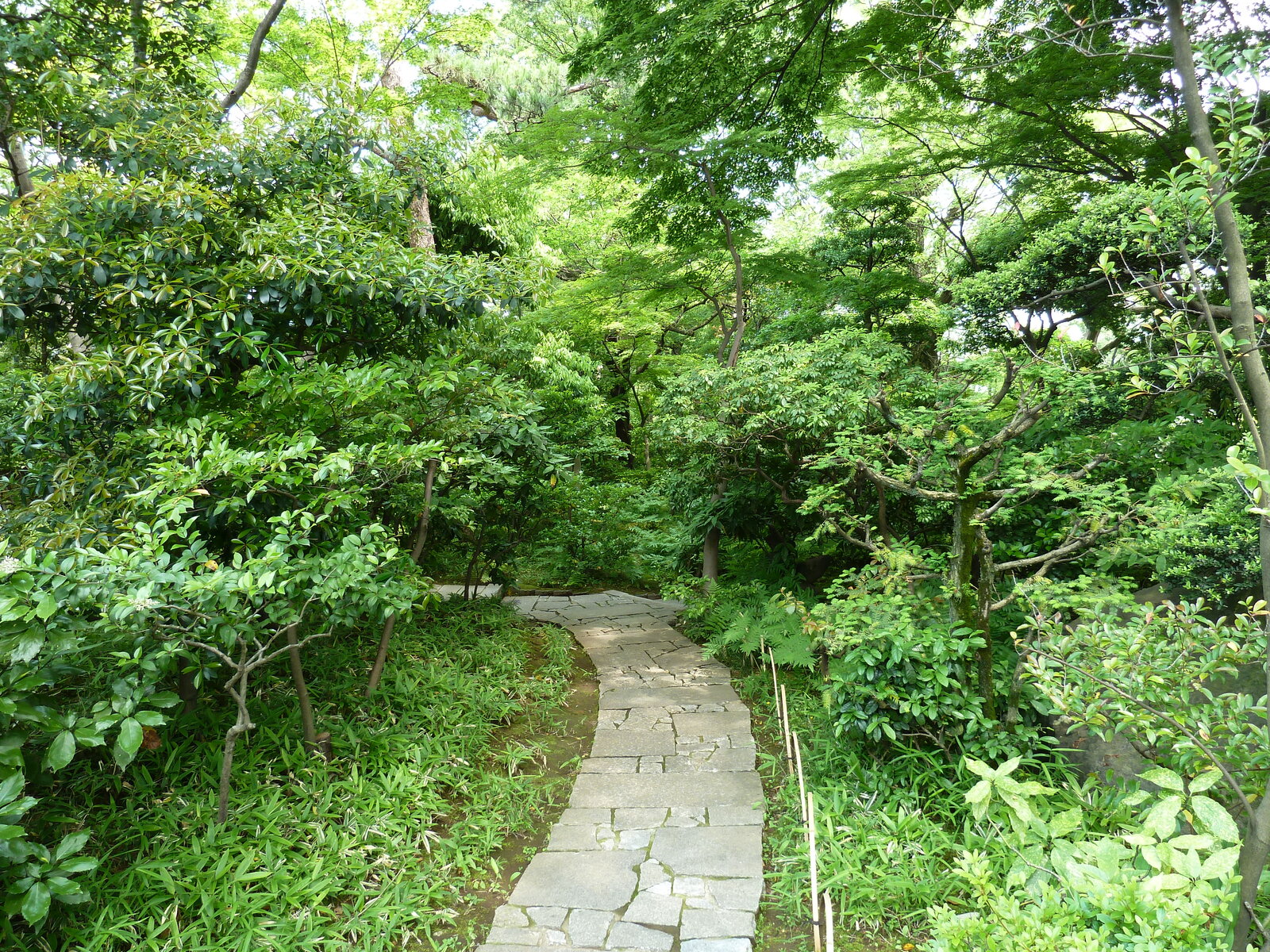 Photo Japon Tokyo Musée Nezu 2010-06 16