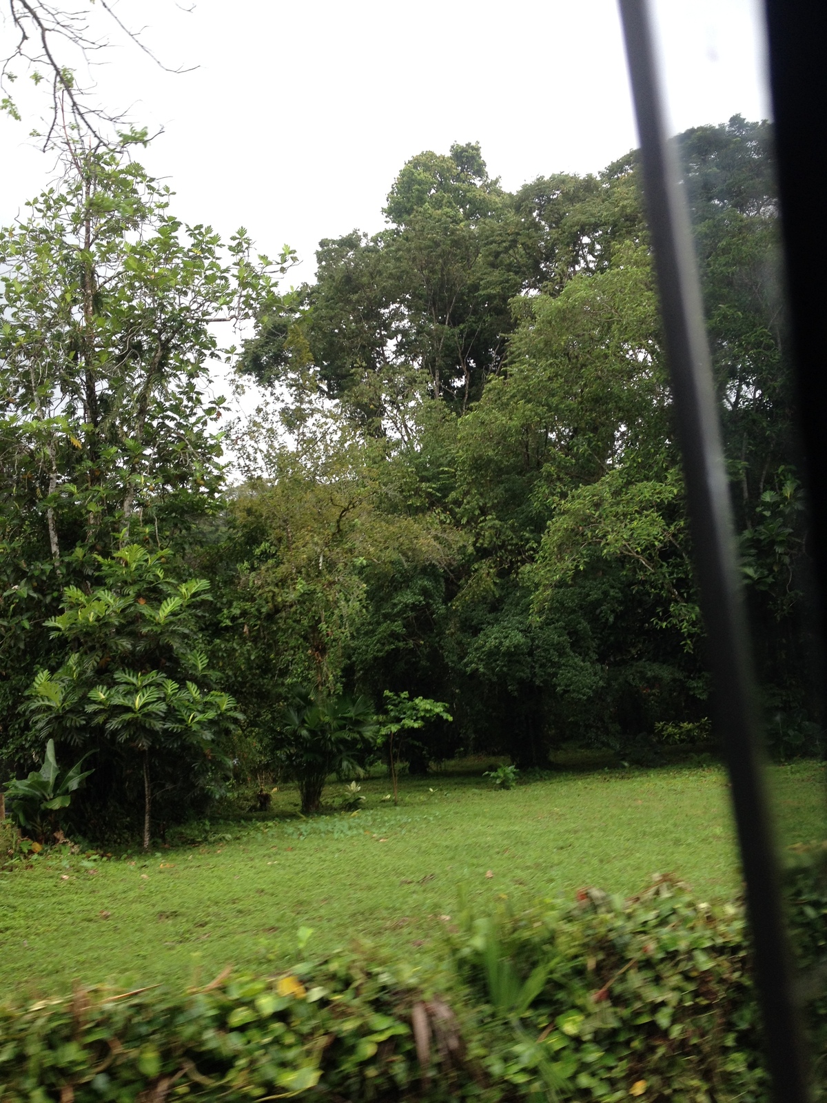 Photo Costa Rica Puerto Viejo de Talamanca 2015-03 57