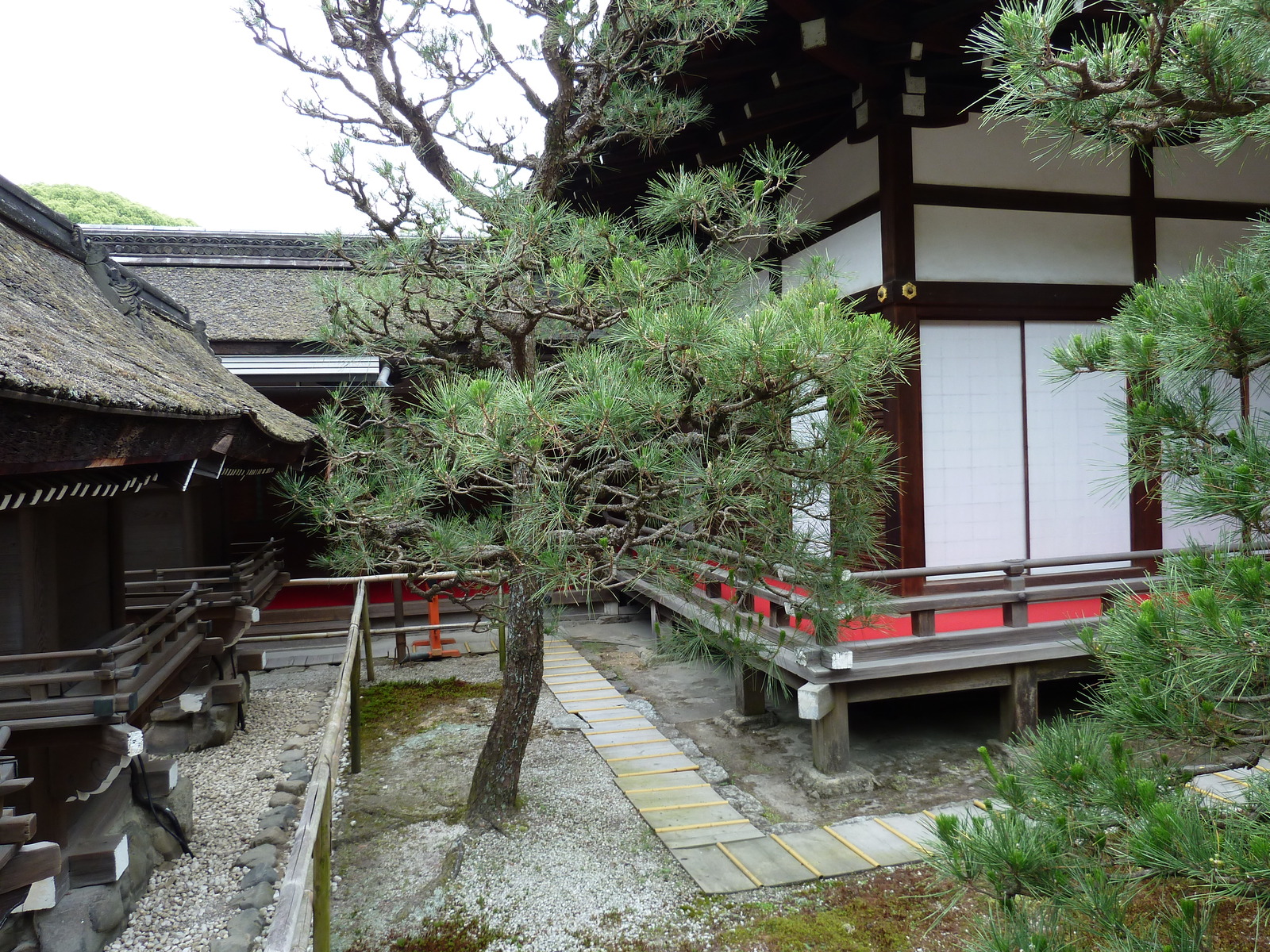Photo Japon Kyoto Sanctuaire Kamo-mioya (Shimogamo) 2010-06 42