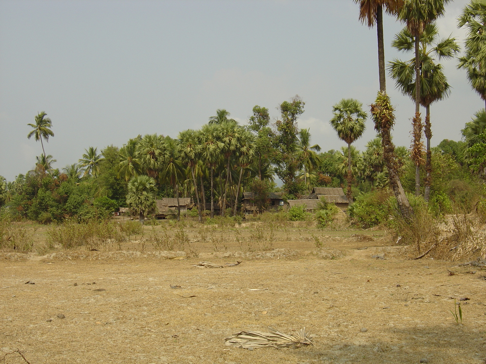 Photo Birmanie (Myanmar) Nord de Maungmagan 2005-01 9