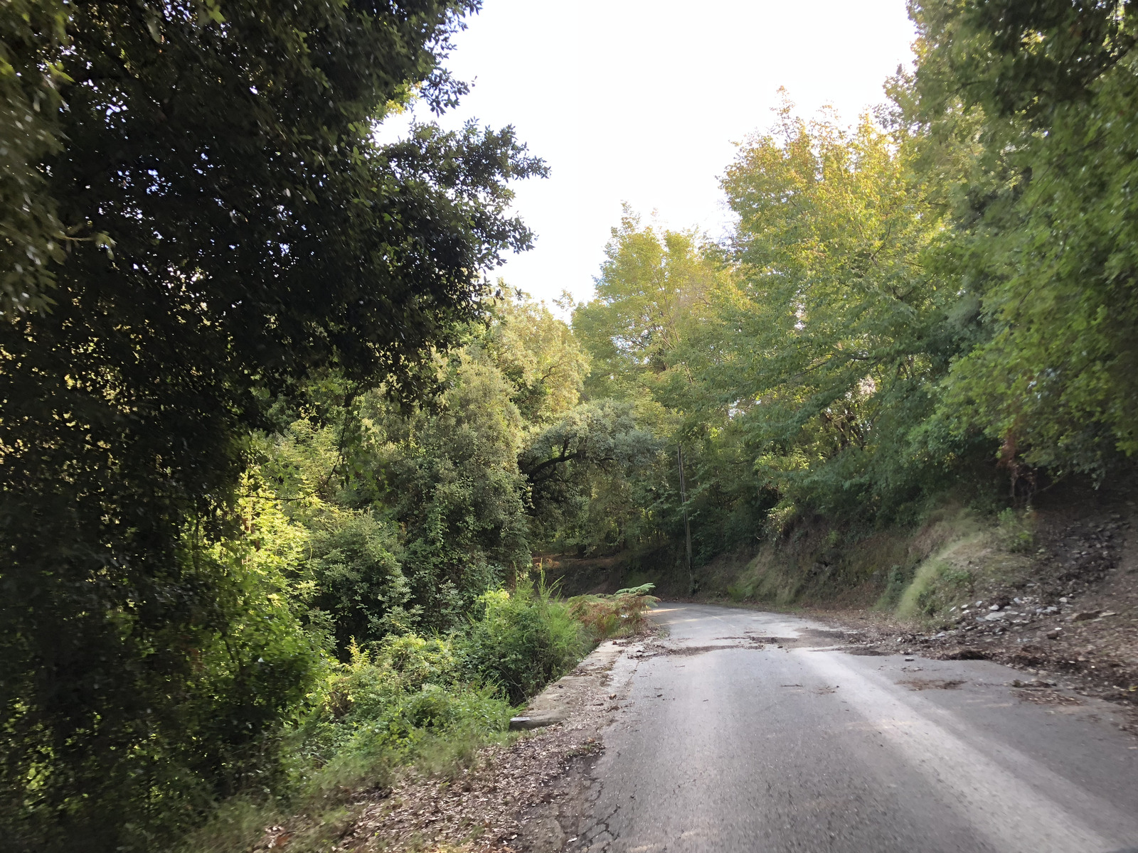 Photo France Corse San Giuliano 2018-09 8