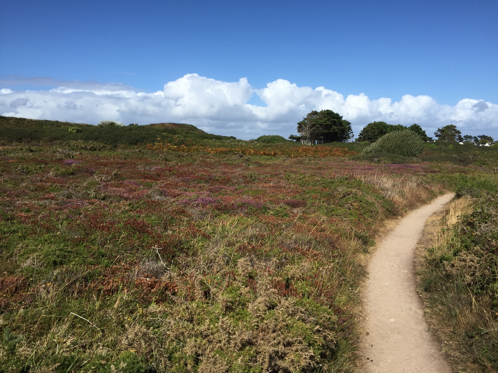 Photo France Ploemeur 2016-08 40
