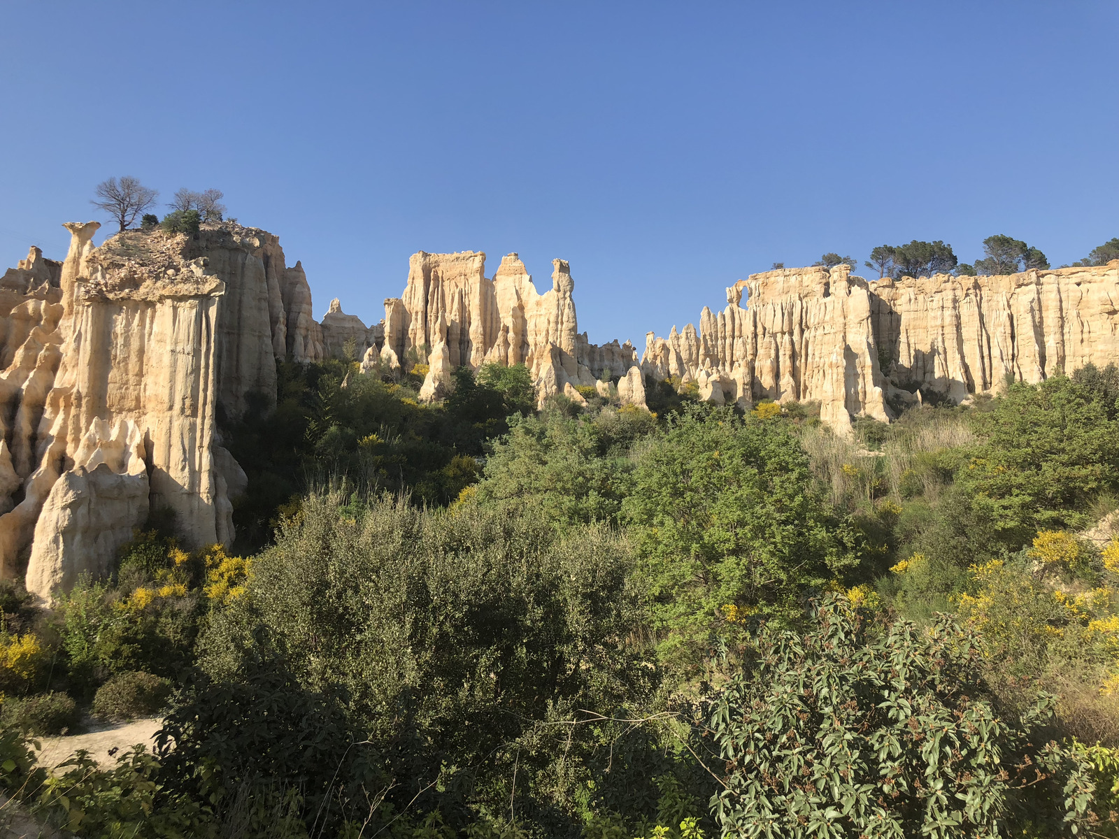 Photo France Orgues d'Ille Sur Tet 2018-04 41