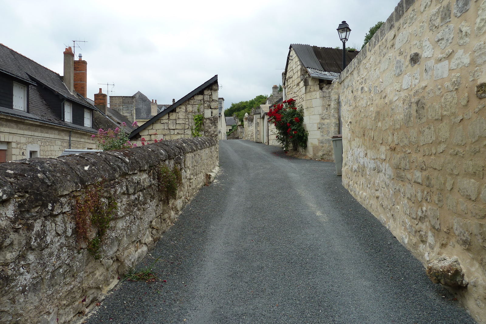 Photo France Château de Montsoreau 2011-05 31
