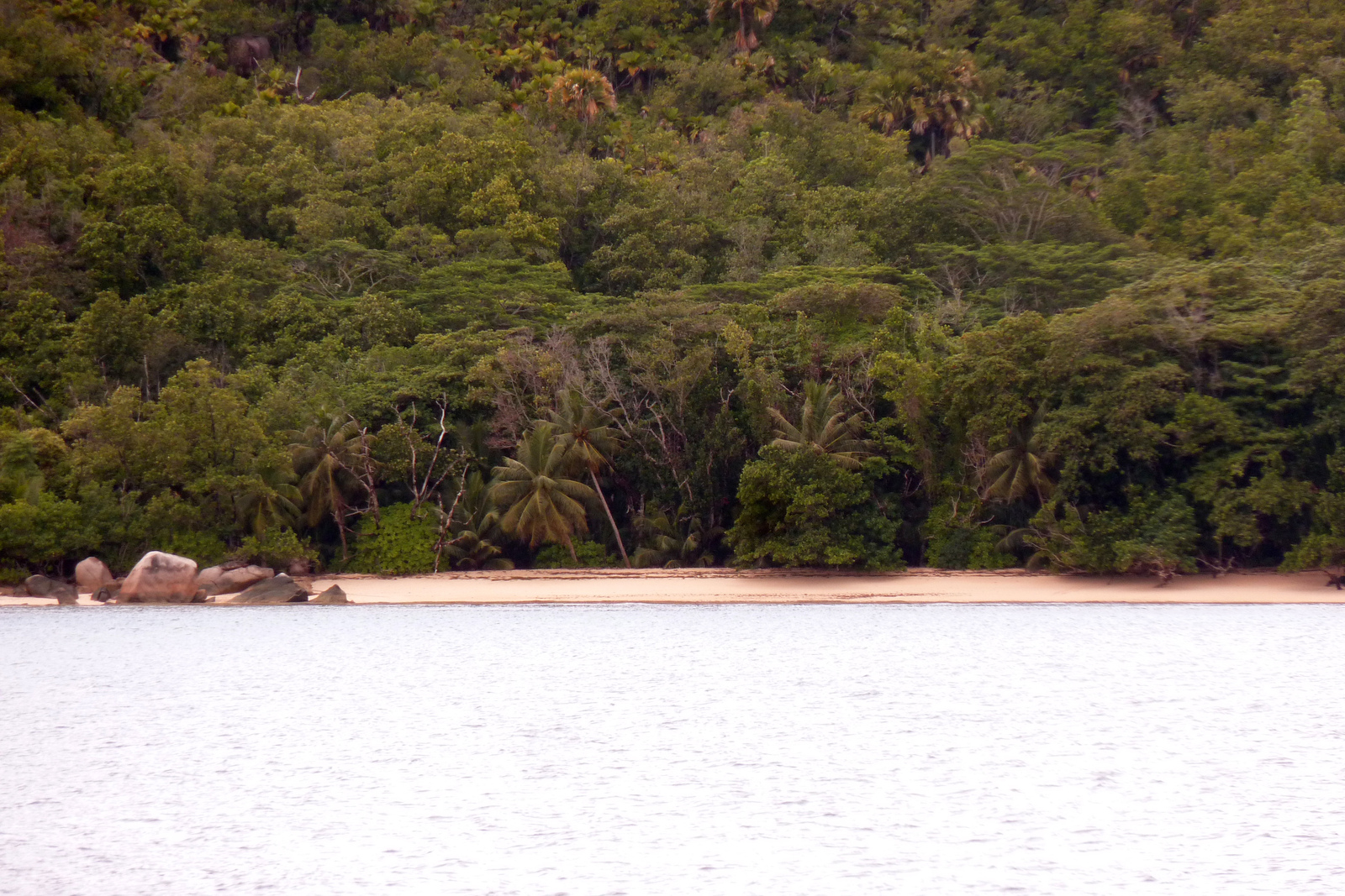 Photo Seychelles Curieuse 2011-10 43