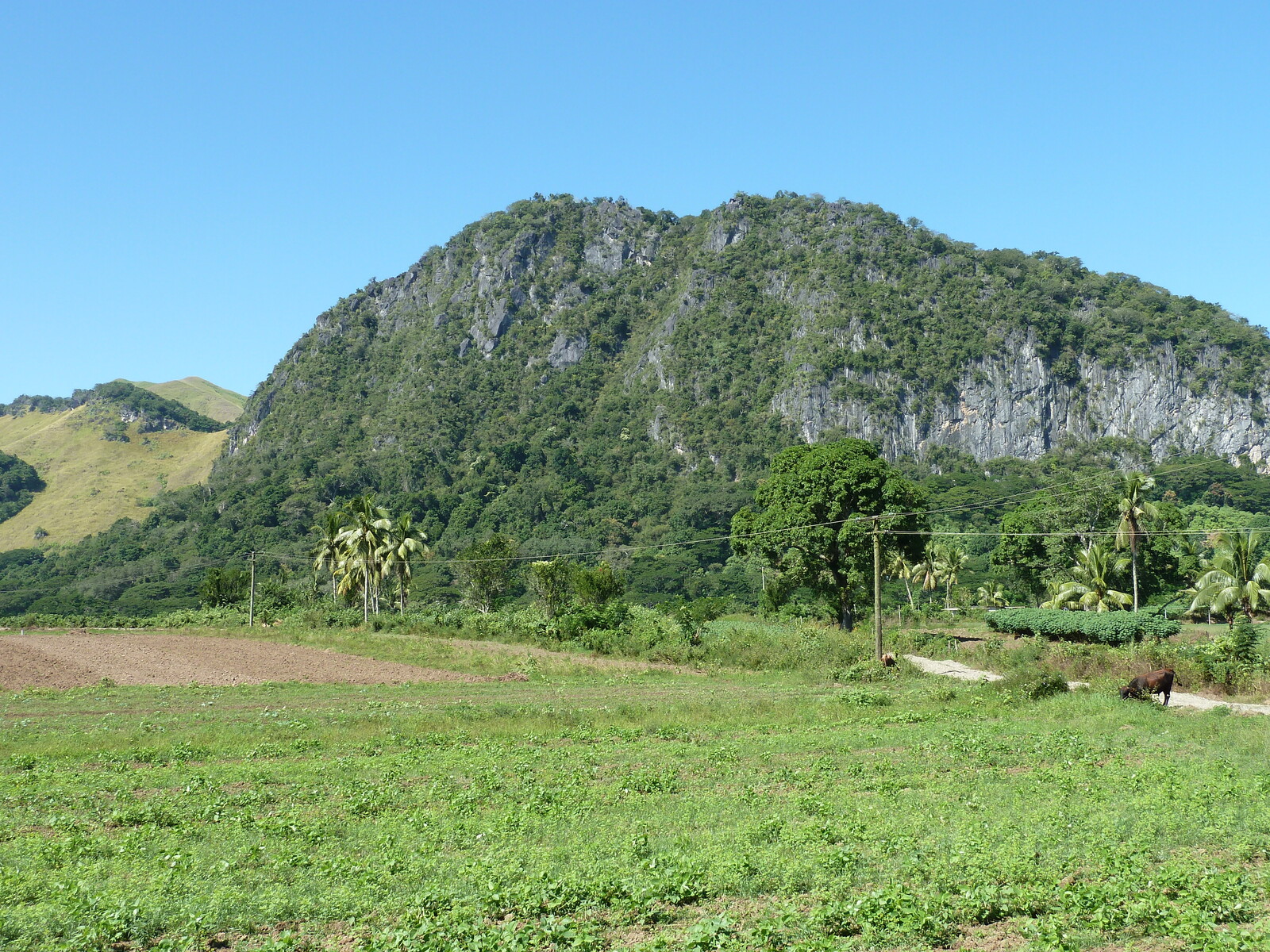 Photo Îles Fidji Rivière Sigatoka 2010-05 18