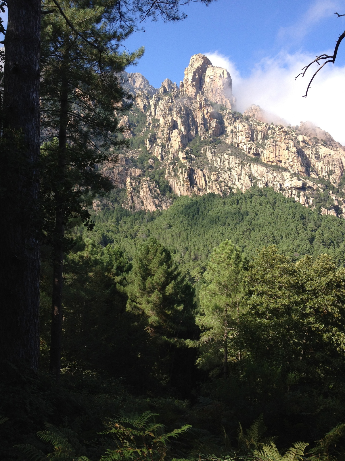 Photo France Corse Bavella 2012-09 87