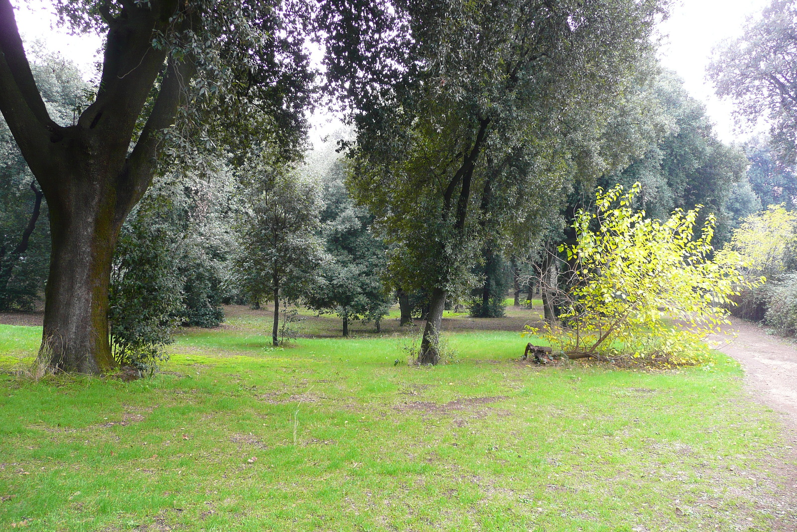 Photo Italie Rome Villa Doria Pamphili 2007-11 10