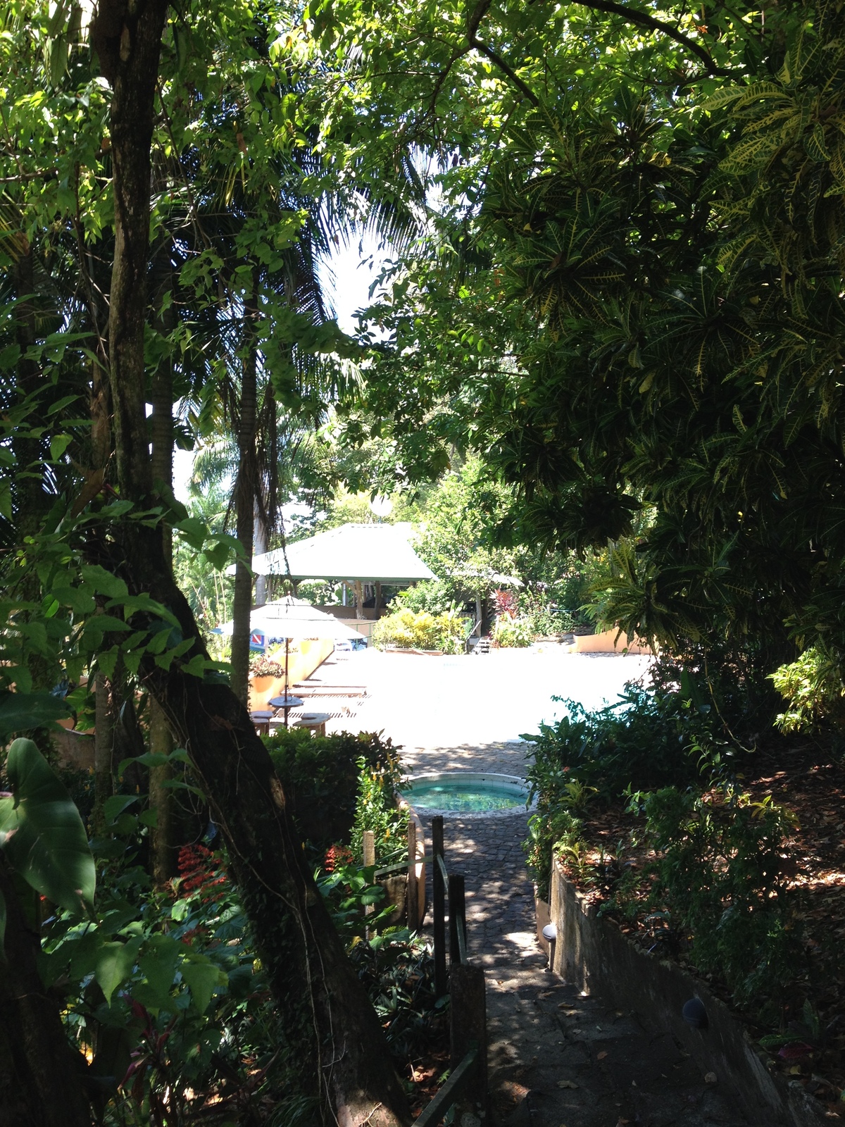 Photo Costa Rica Parc Manuel Antonio 2015-03 32