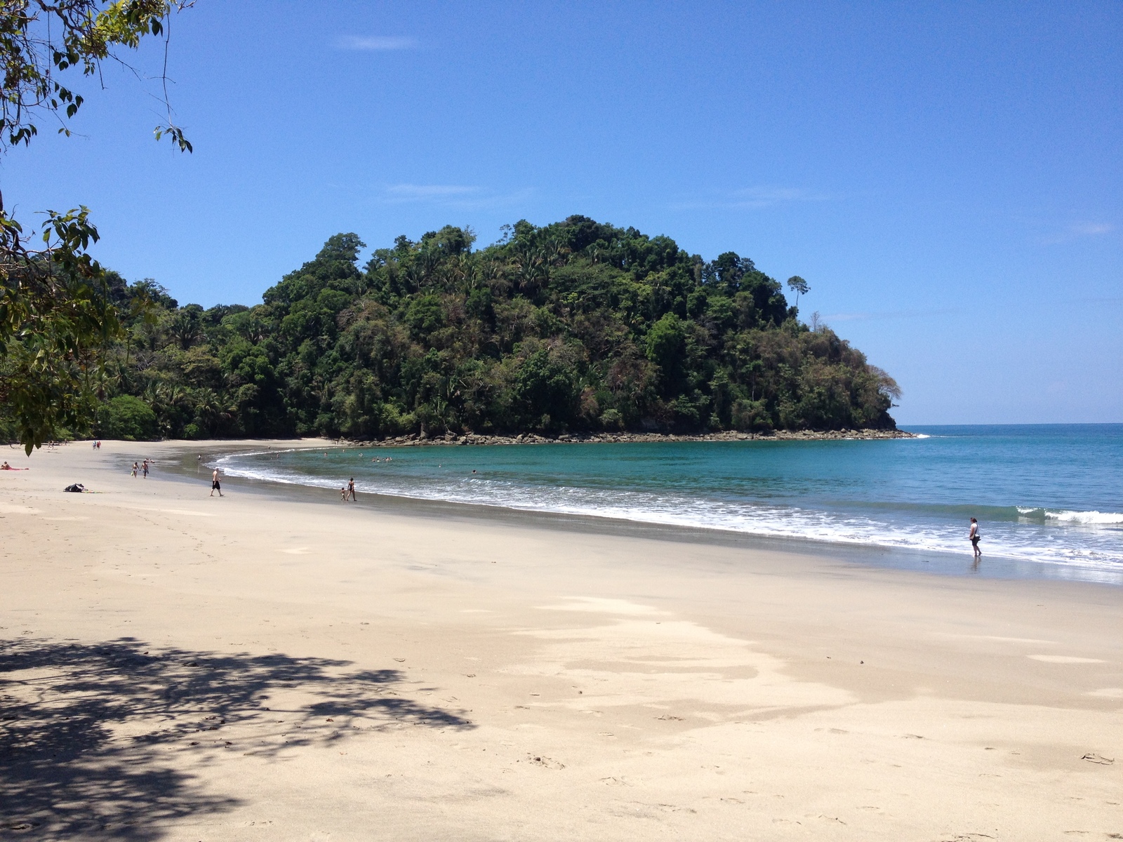 Photo Costa Rica Parc Manuel Antonio 2015-03 391