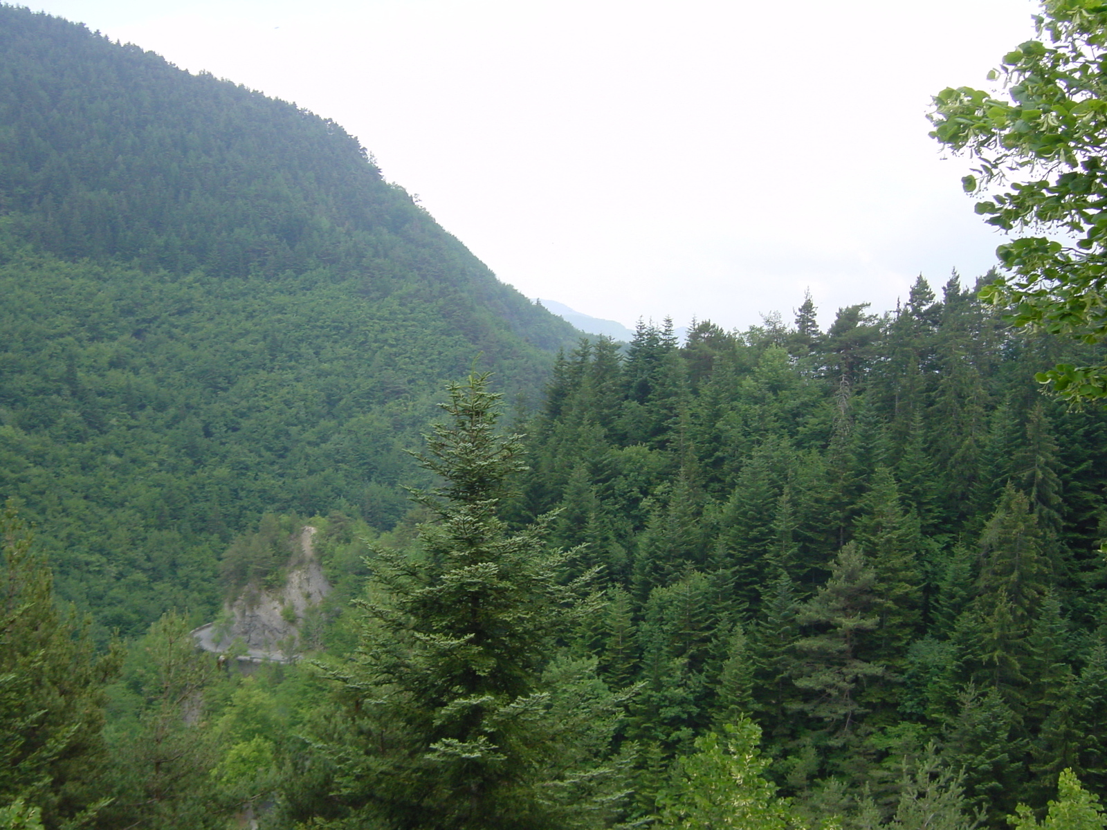 Photo France Mercantour 2003-07 40