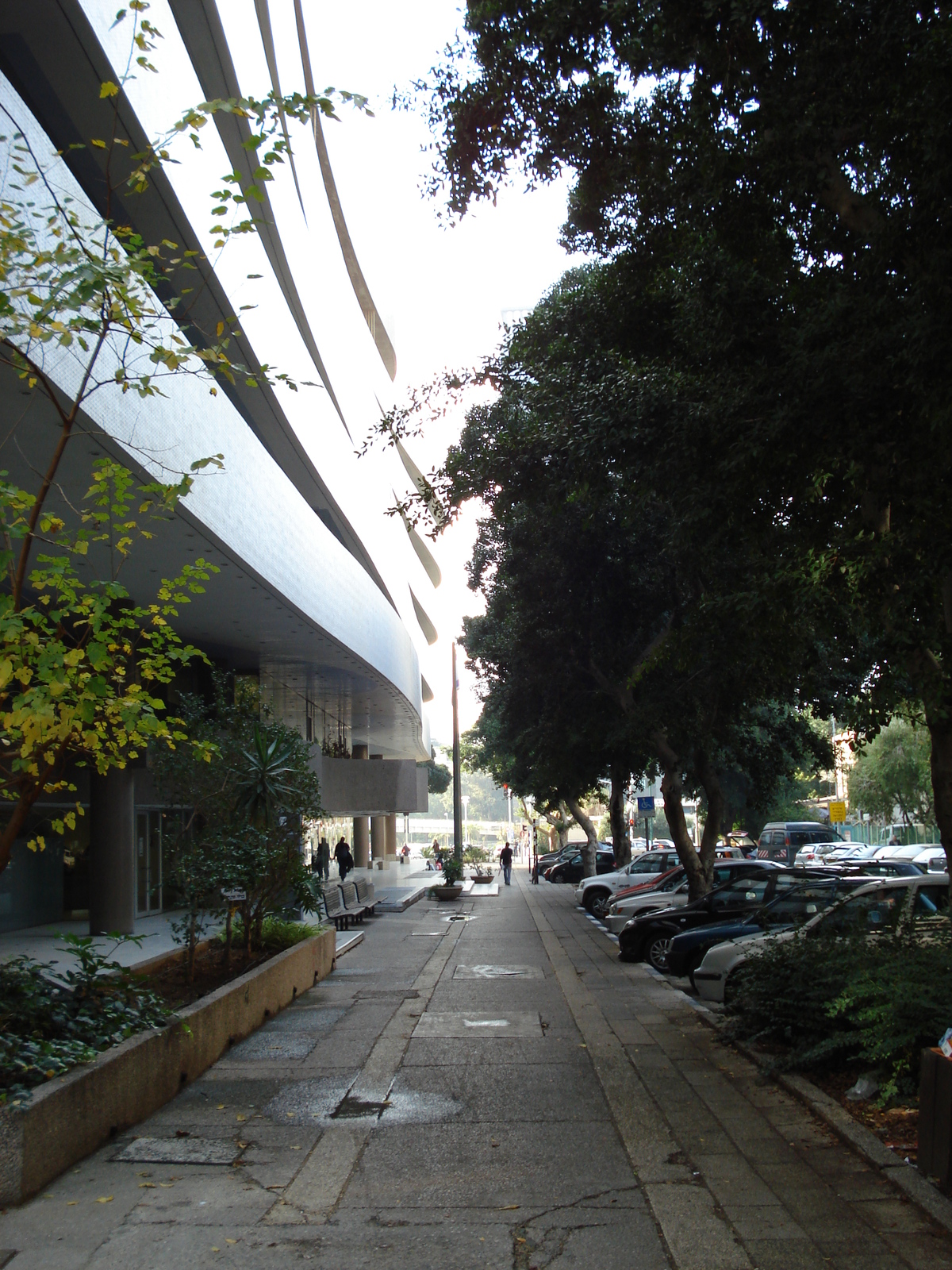 Photo Israel Tel Aviv 2006-12 116