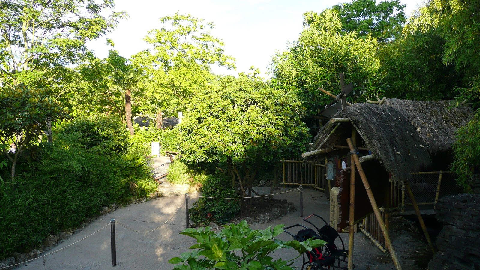 Photo France Disneyland Paris La Cabane des Robinson 2007-07 6