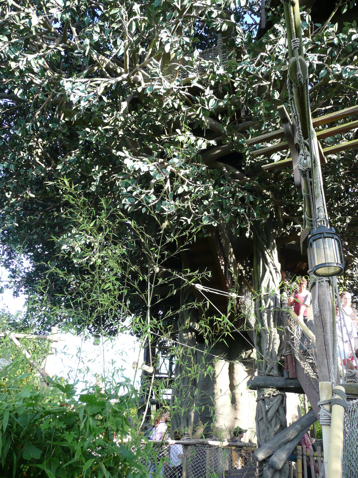Photo France Disneyland Paris La Cabane des Robinson 2007-07 13