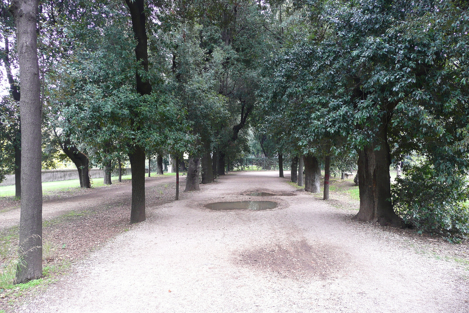 Photo Italie Rome Villa Doria Pamphili 2007-11 29