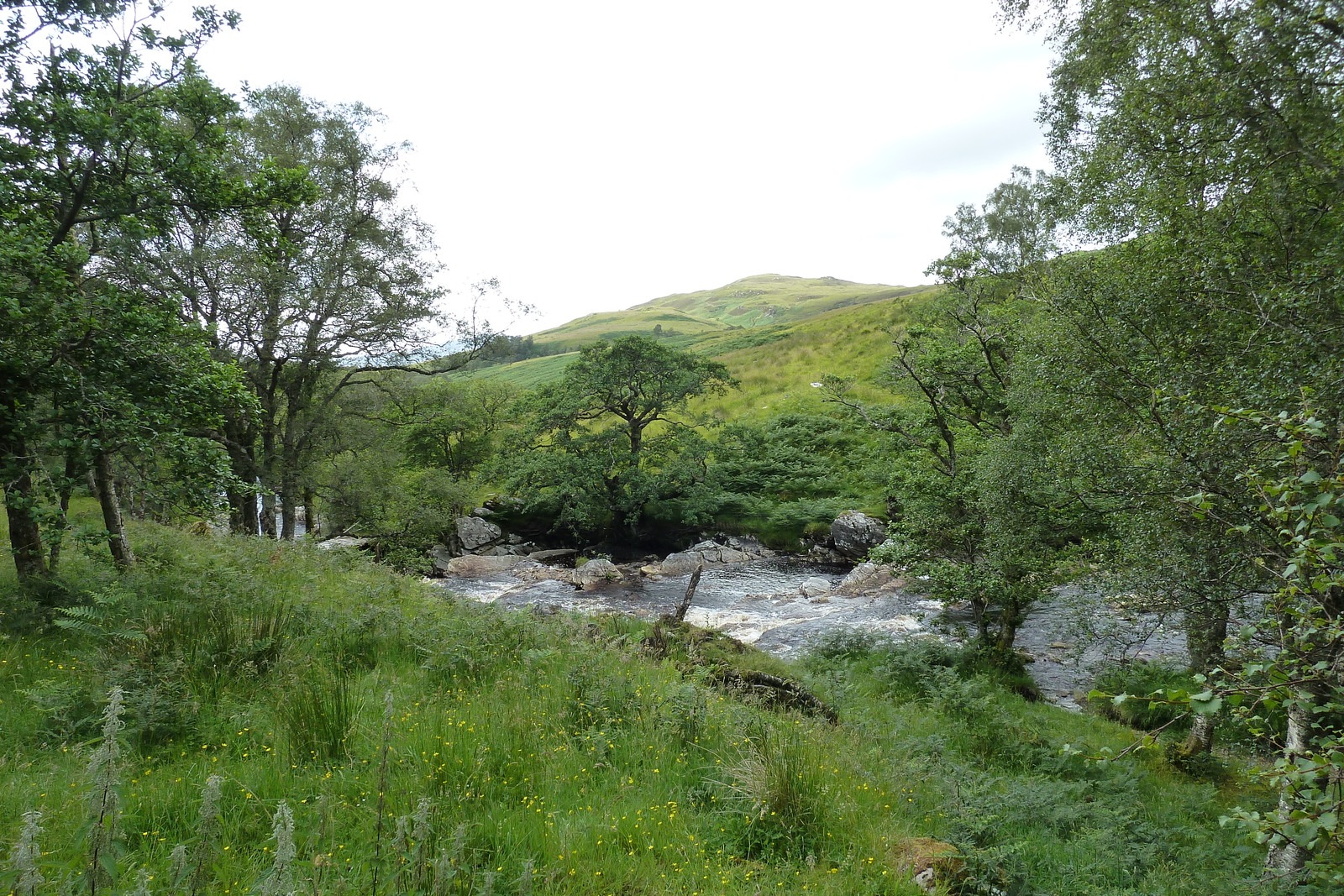 Photo Royaume-Uni Wester Ross 2011-07 145