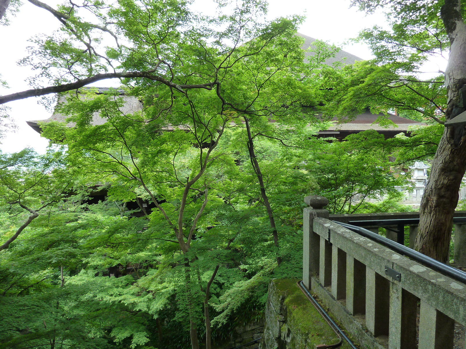 Photo Japon Kyoto Temple Kiyomizu Dera 2010-06 58